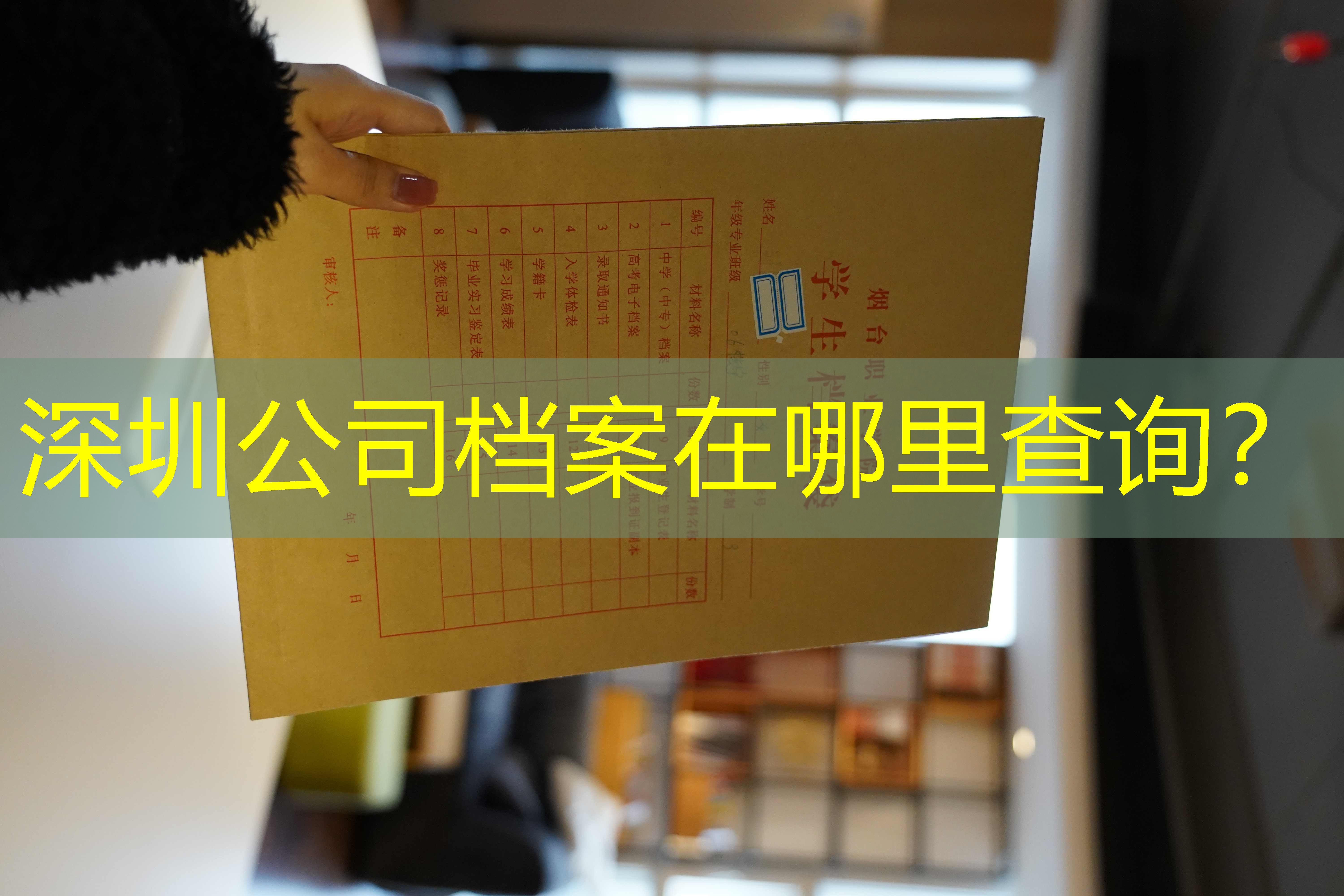 档案查询