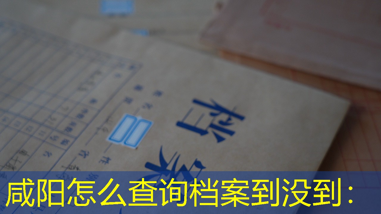 档案查询