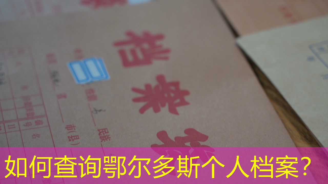 档案查询