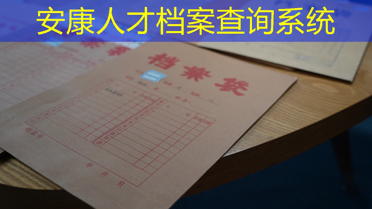 档案查询