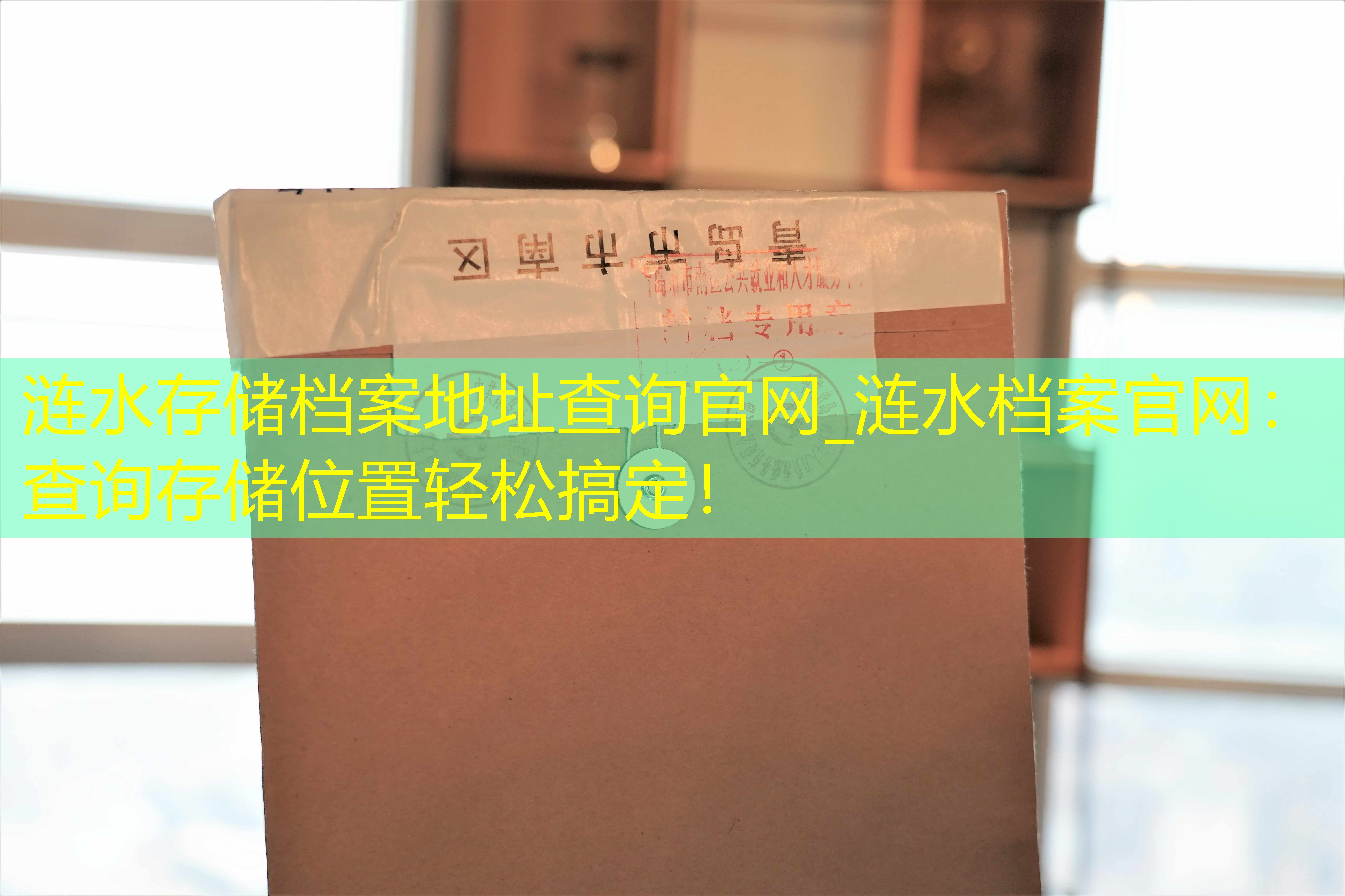 档案查询