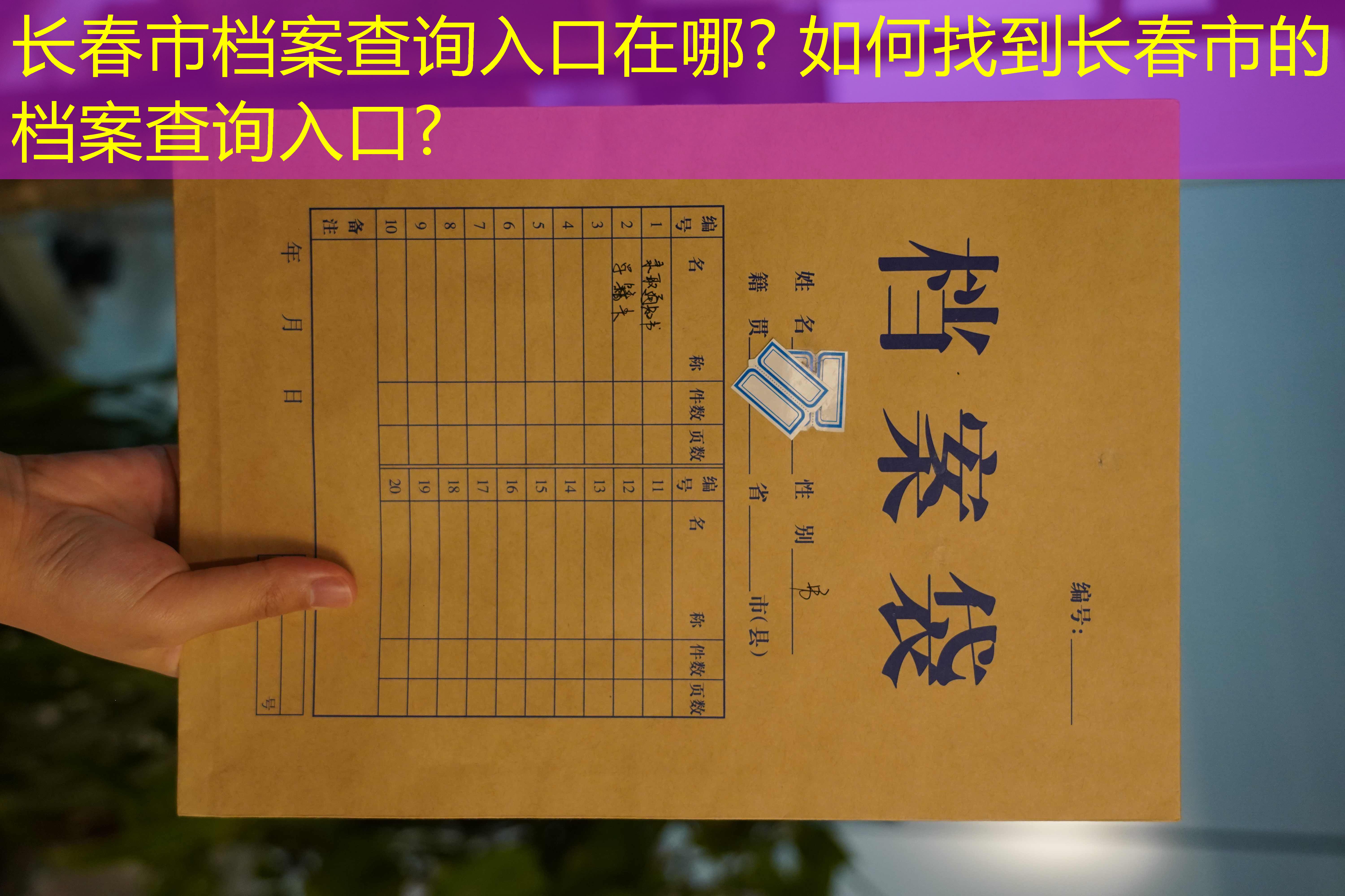 档案查询