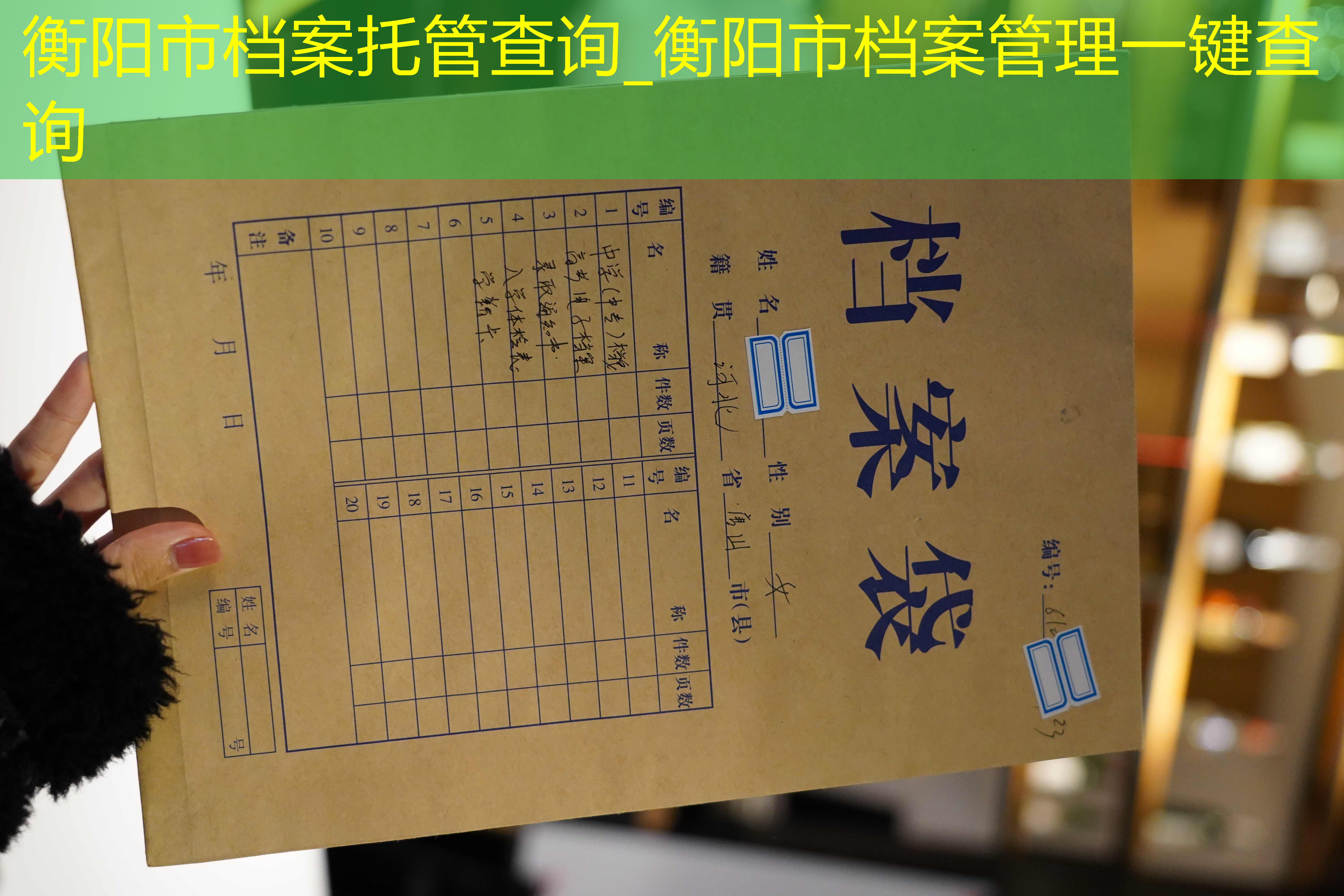 档案查询