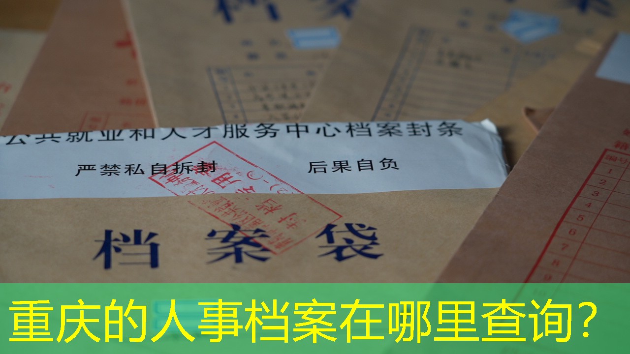 档案查询