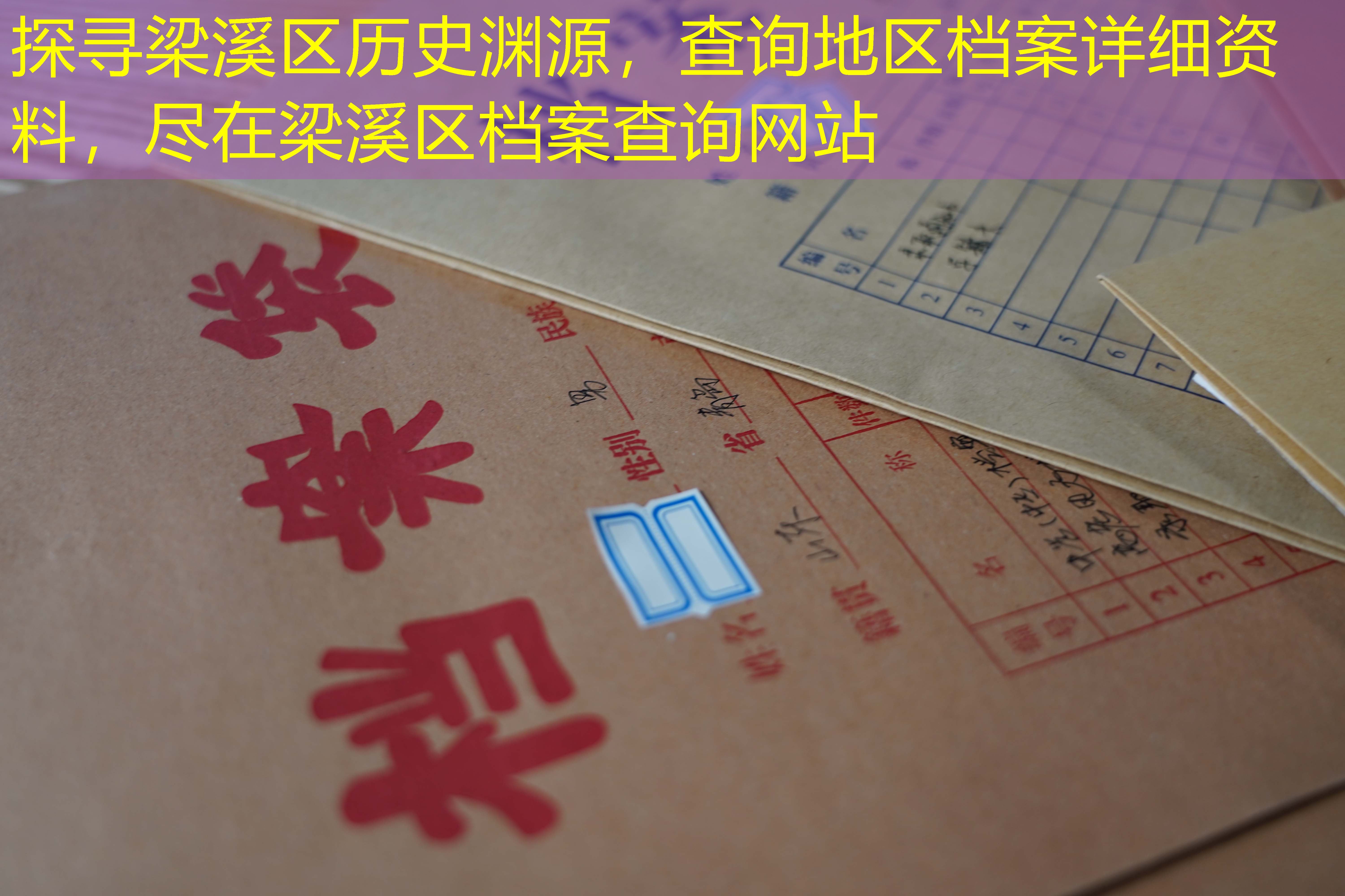 档案查询
