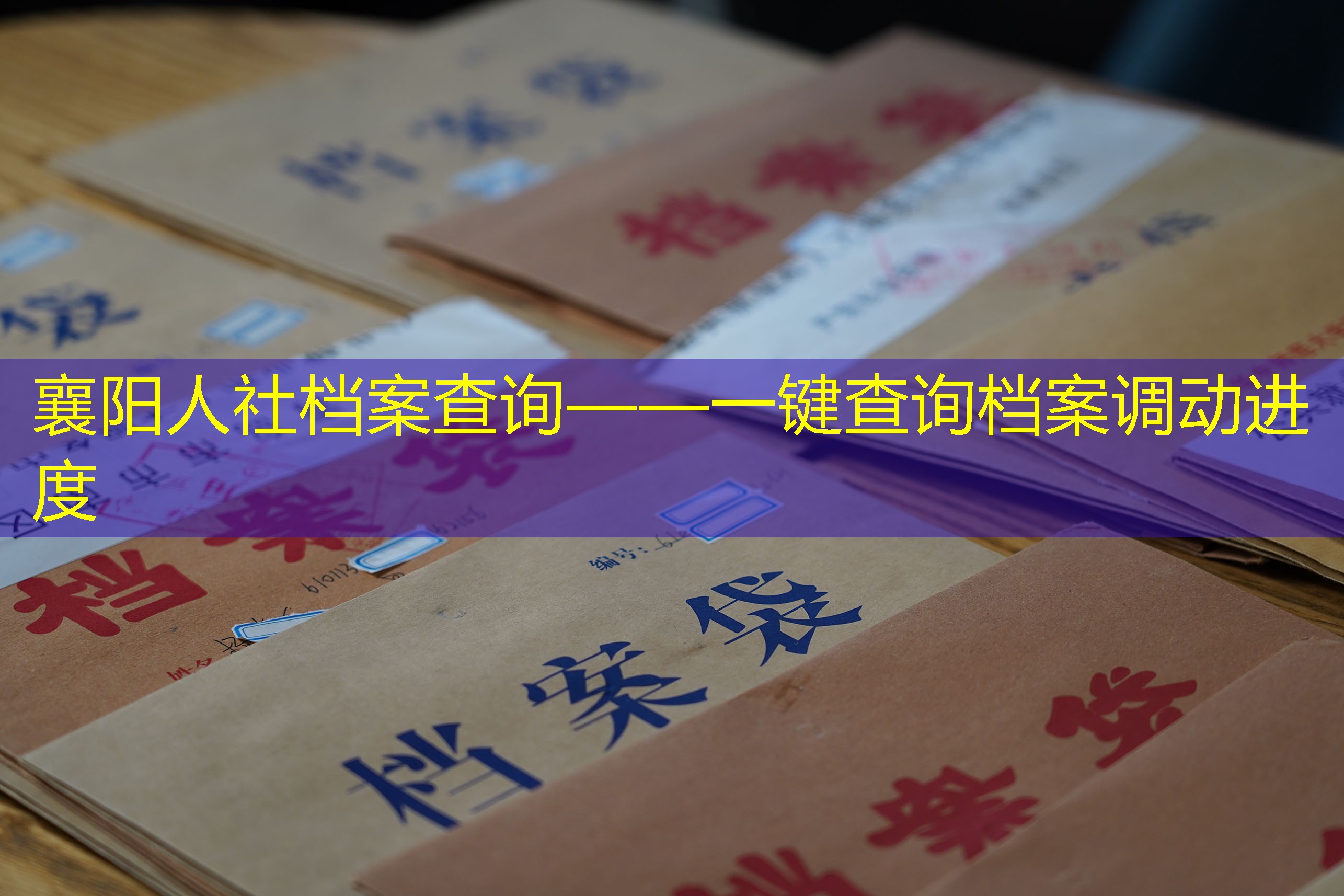 档案查询