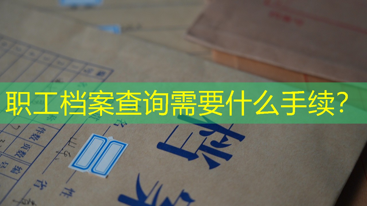 档案查询