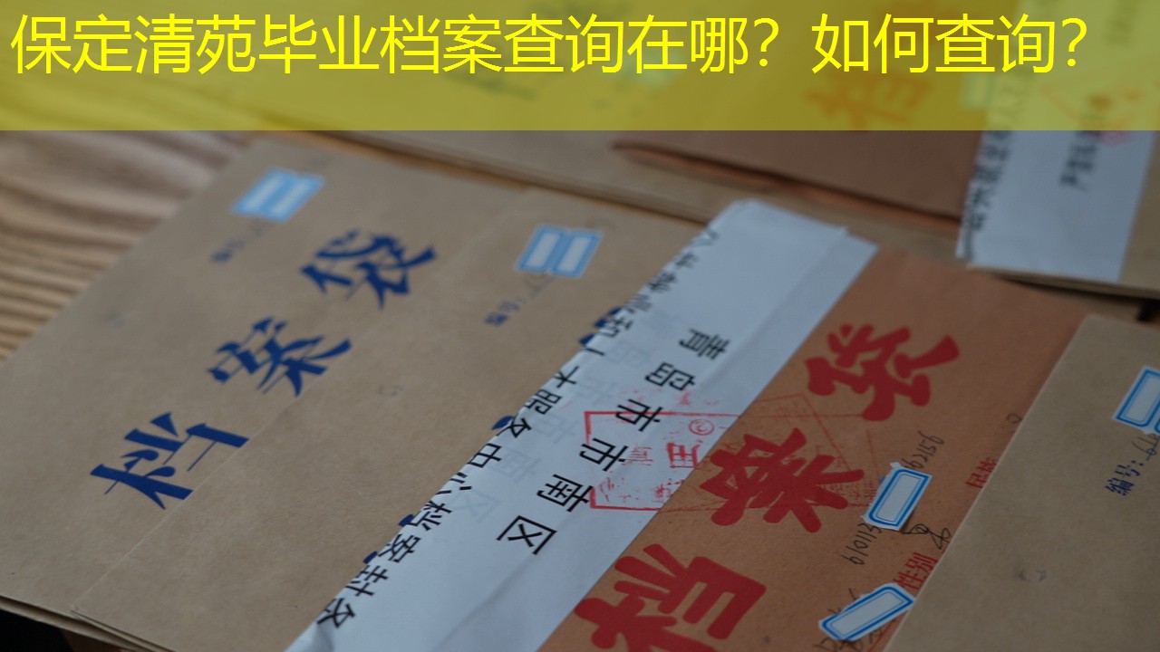 档案查询