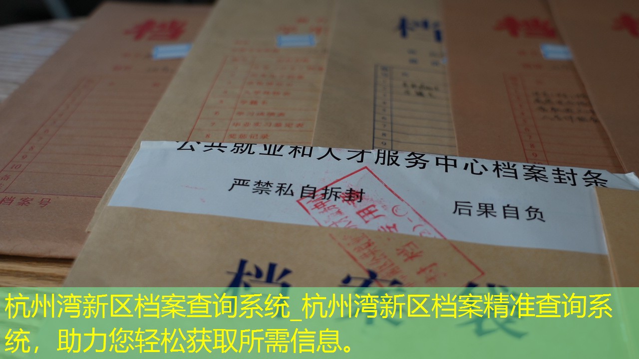 档案查询