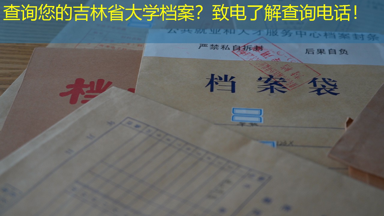 档案查询