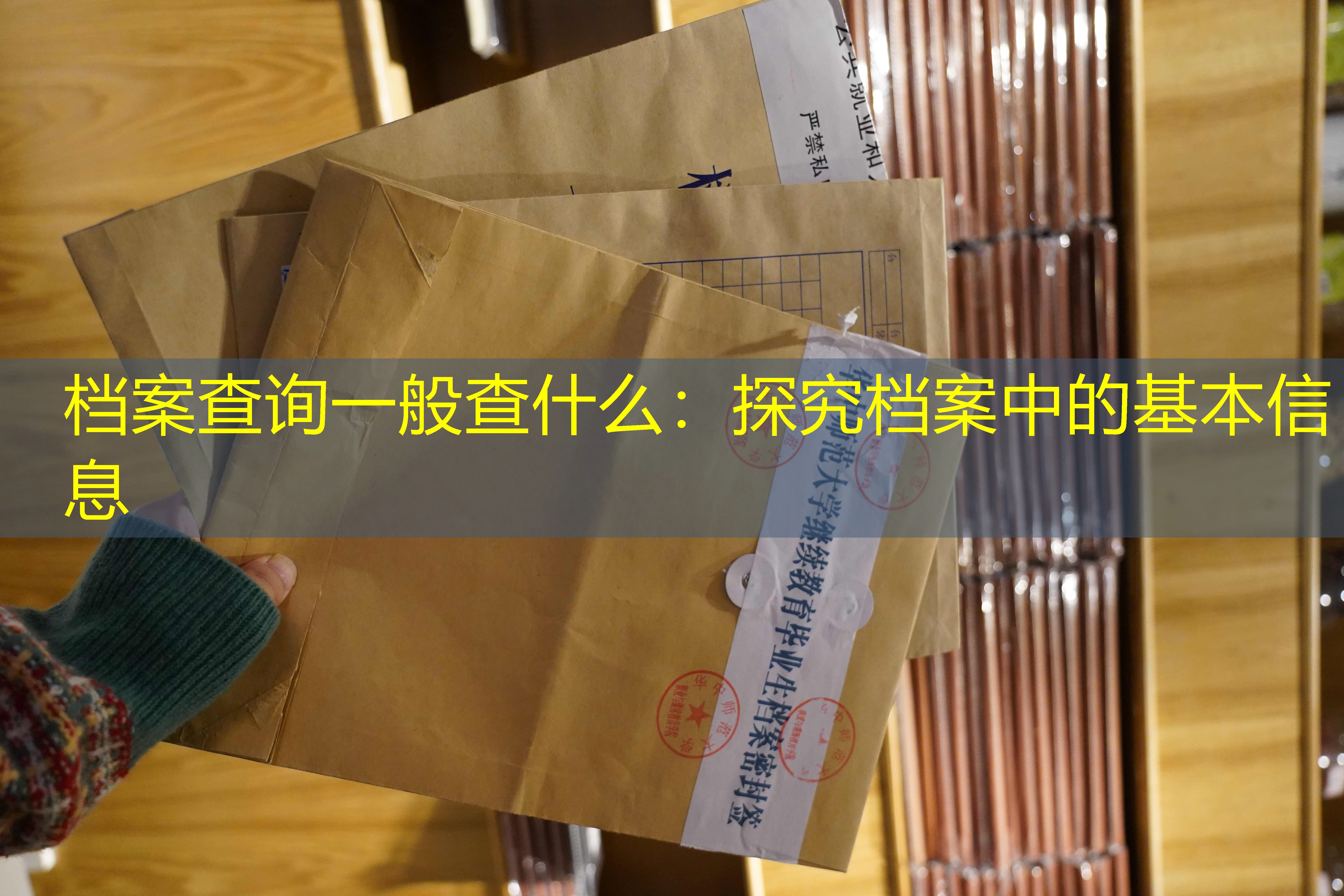 档案查询