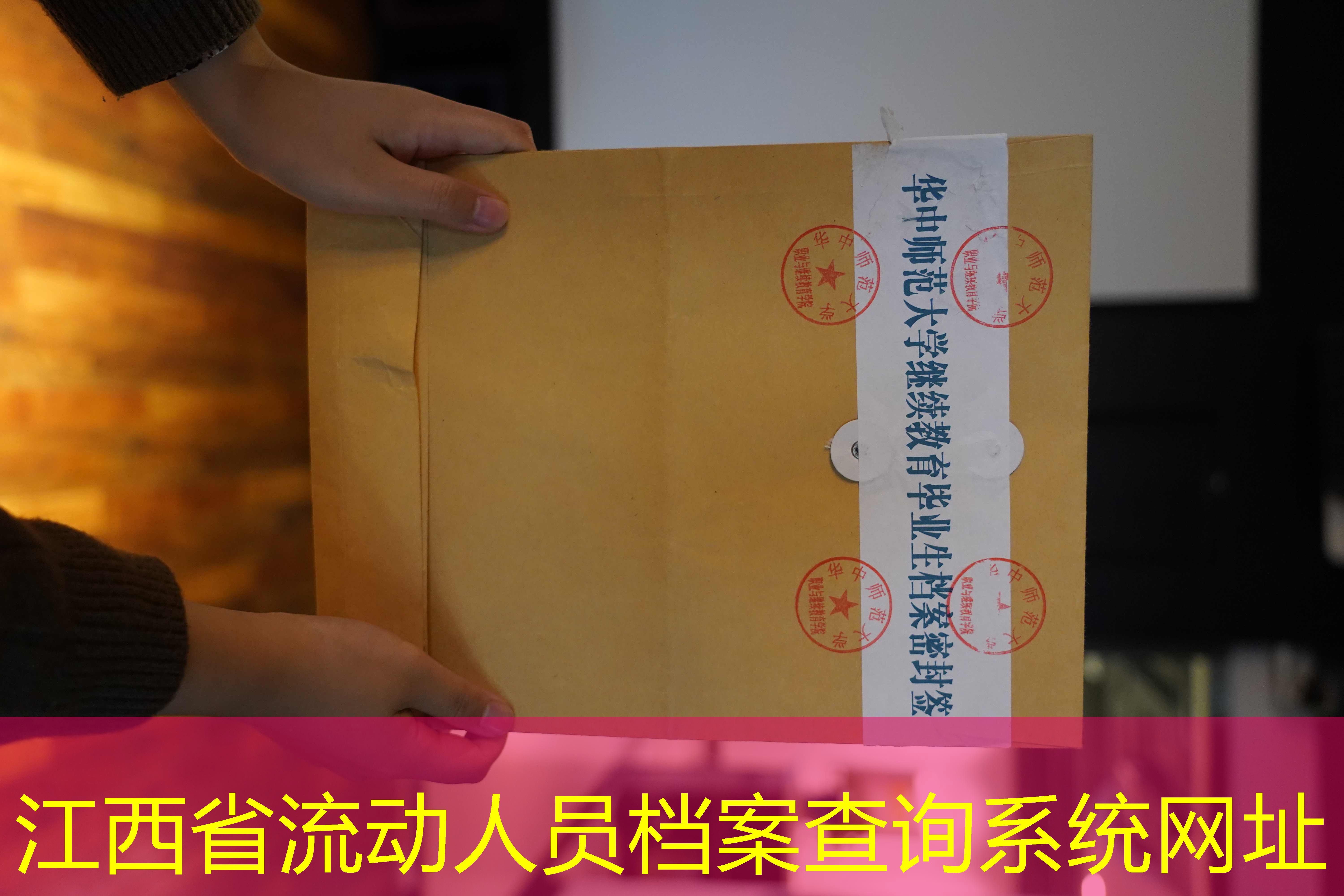 档案查询