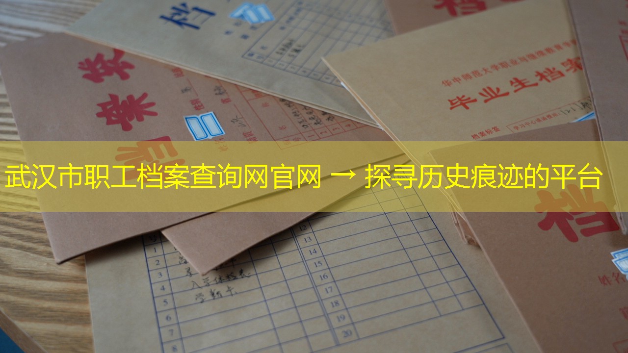 档案查询