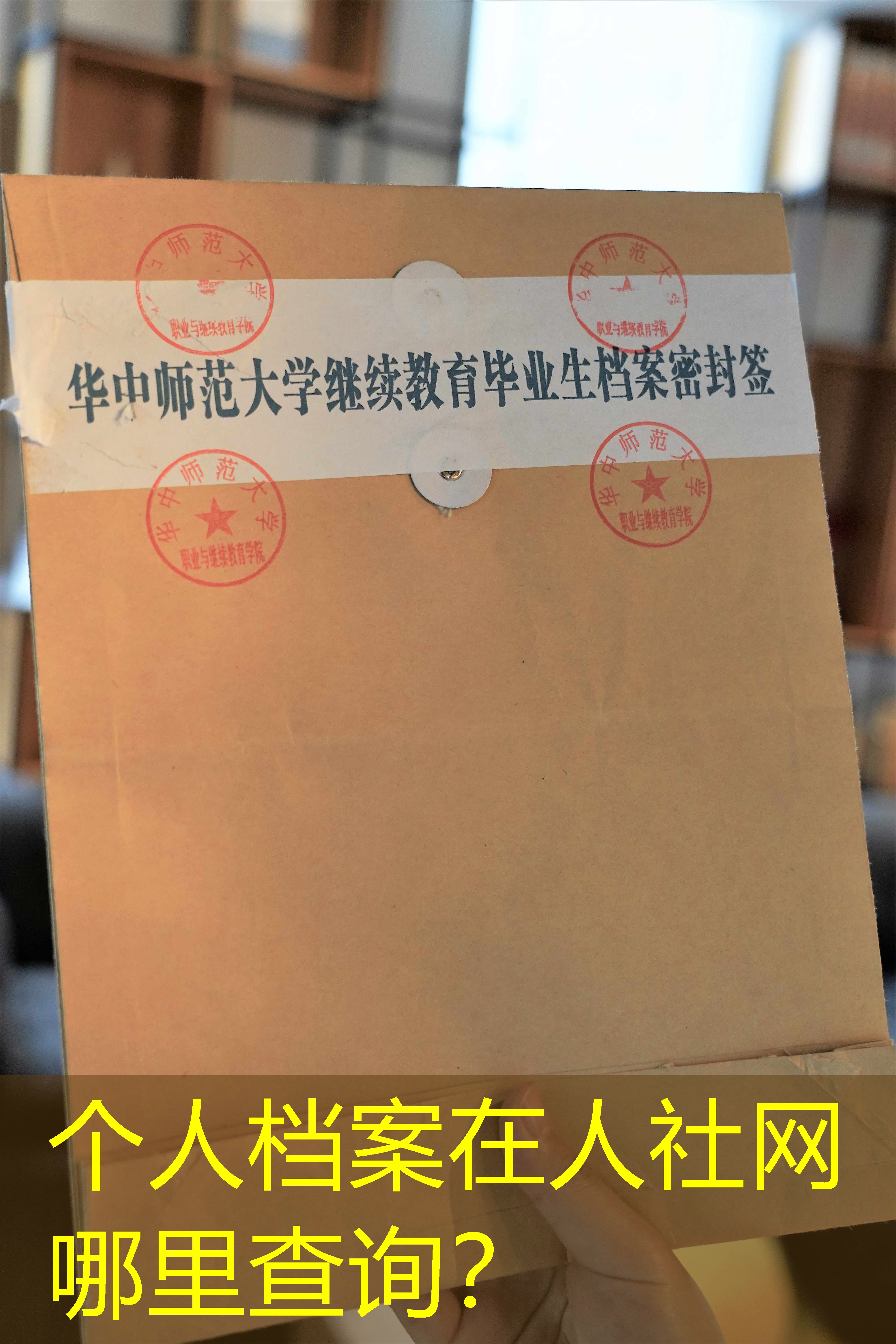 档案查询