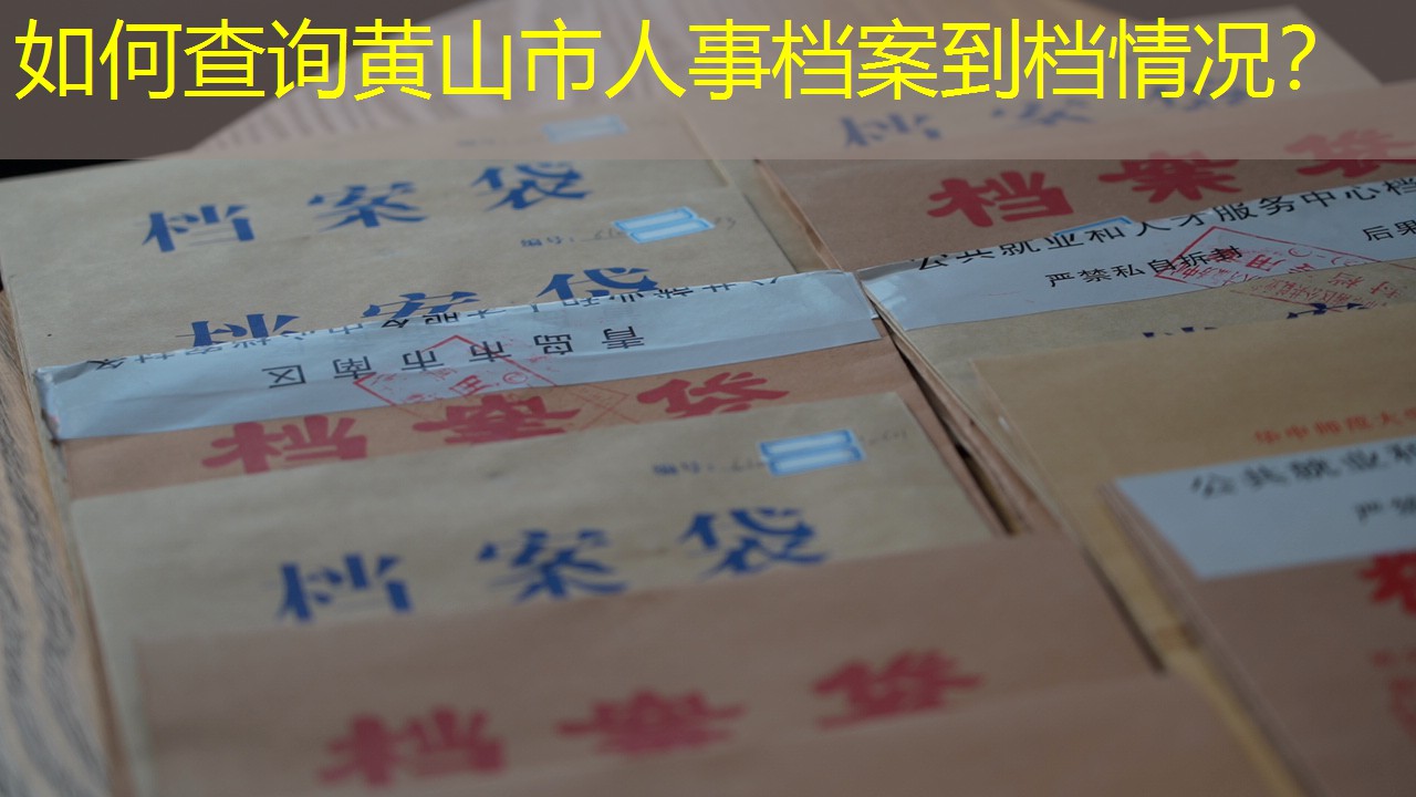 档案查询