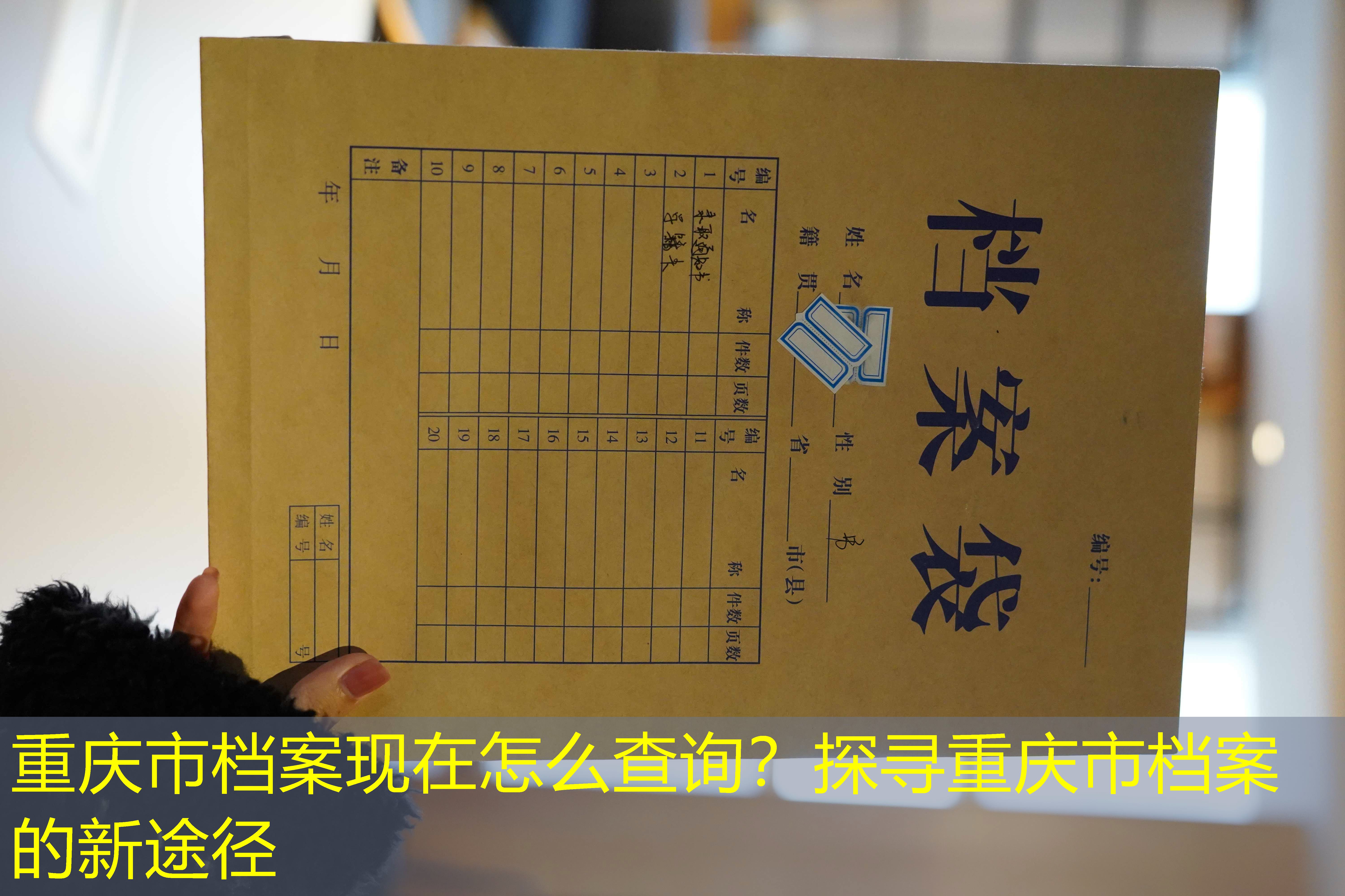 档案查询