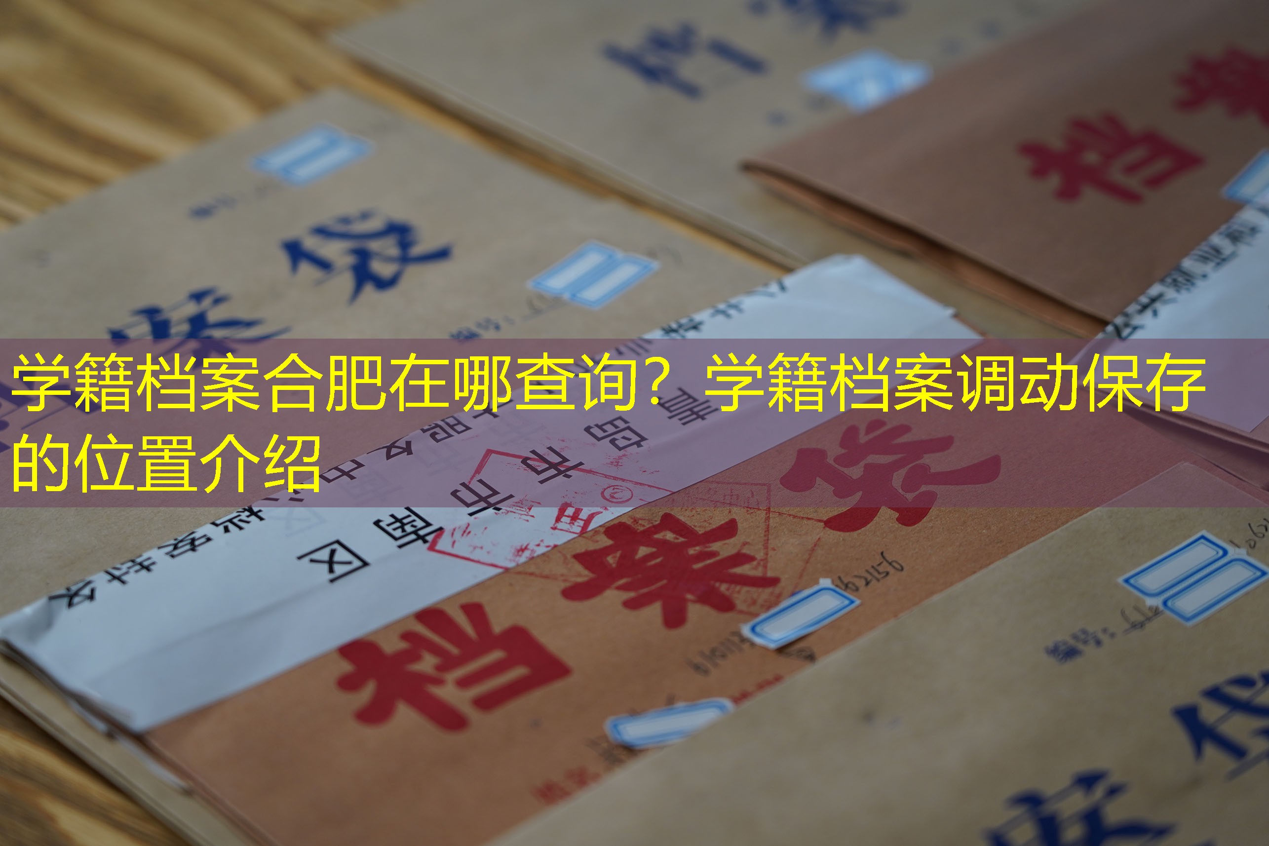 档案查询