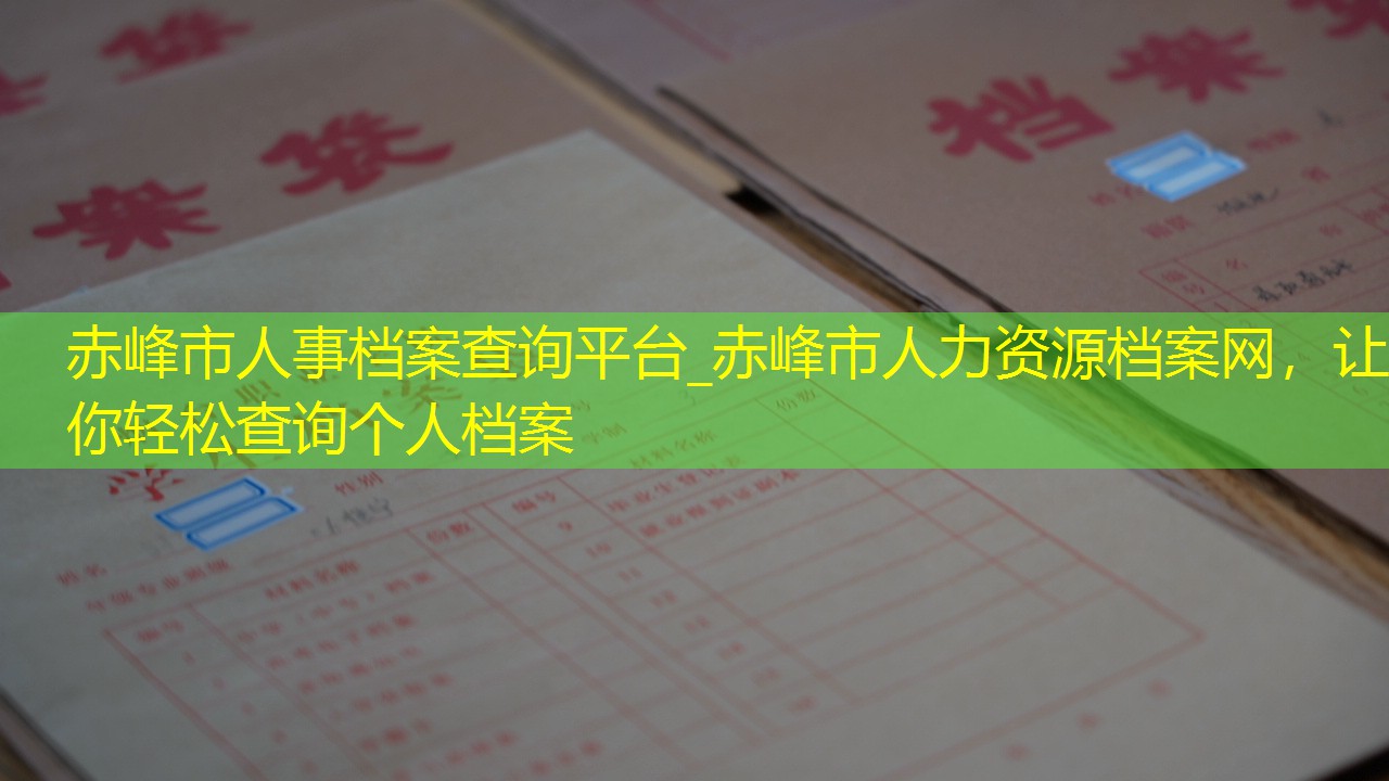 档案查询