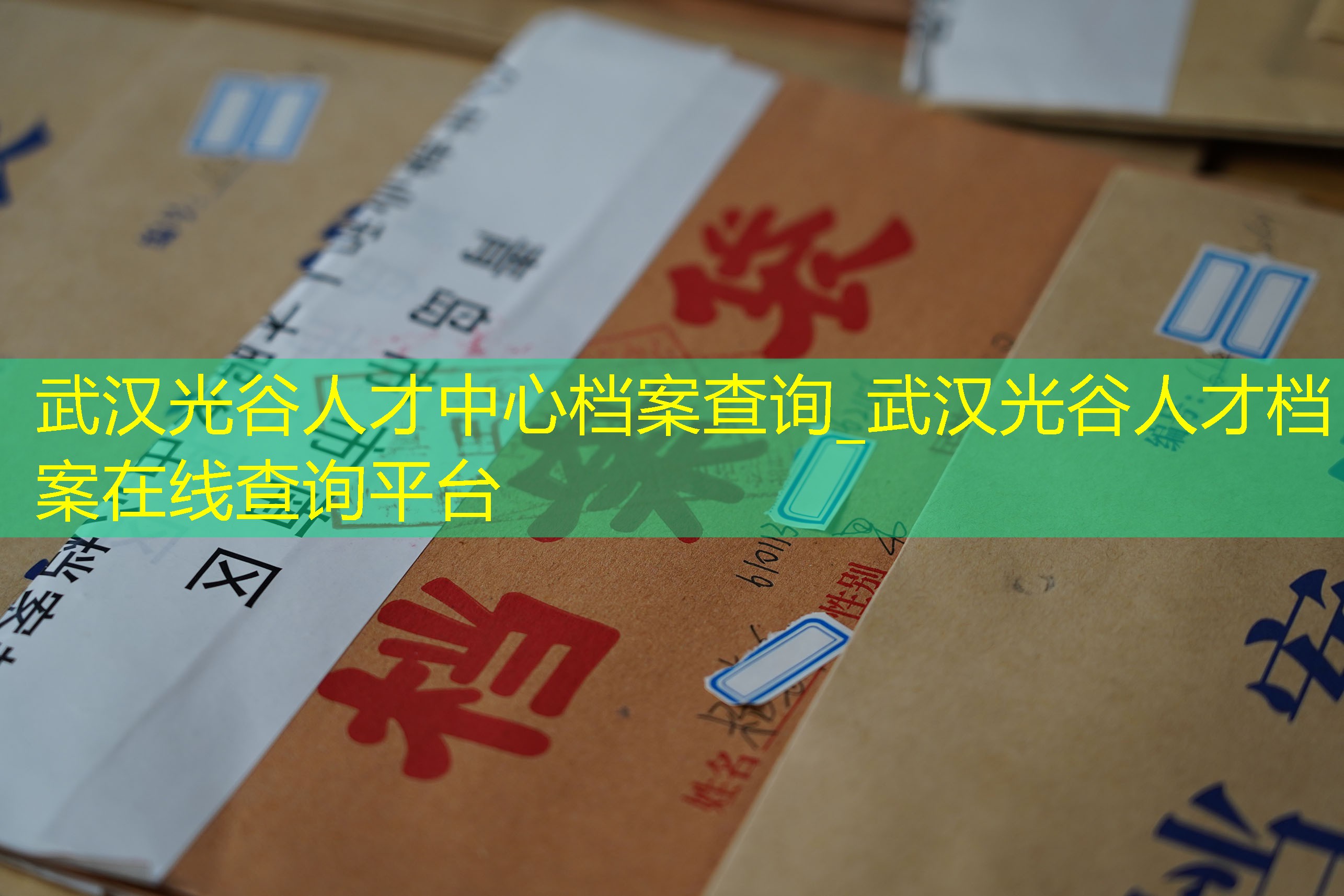 档案查询
