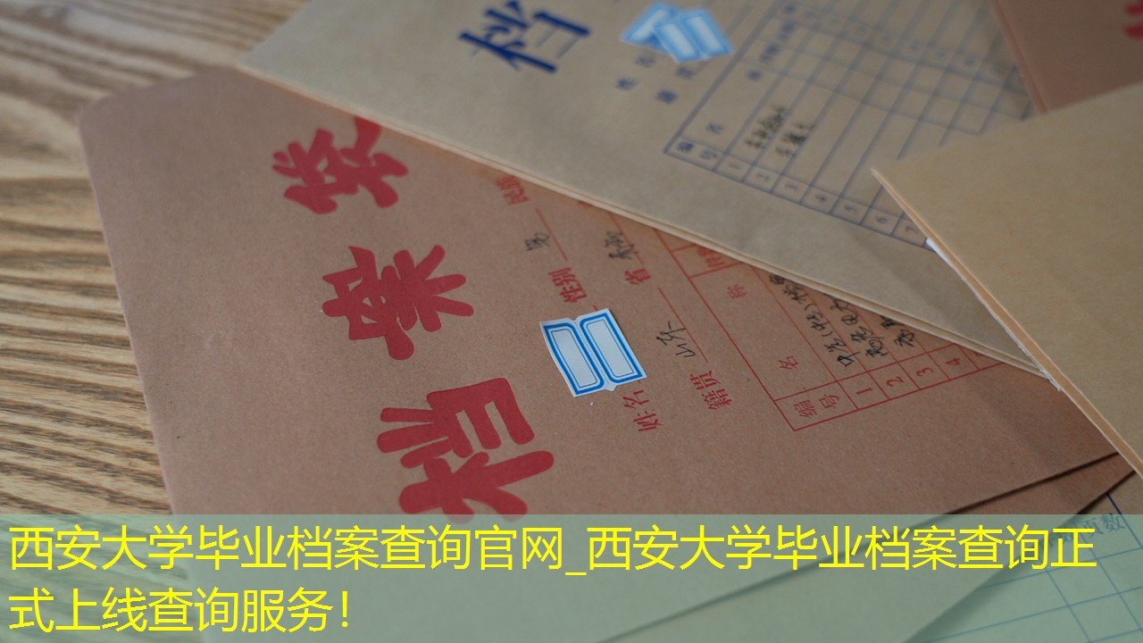 档案查询