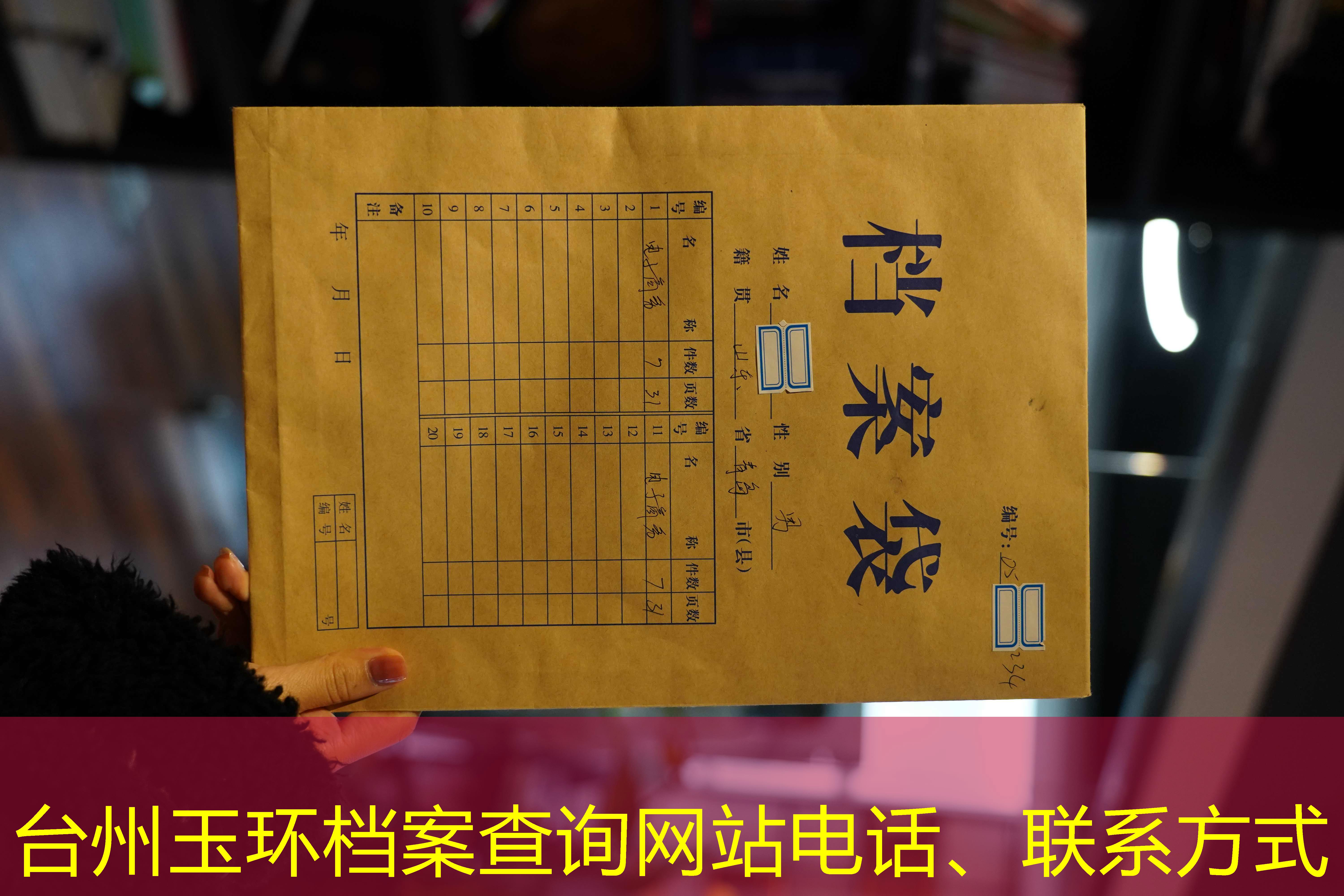 档案查询