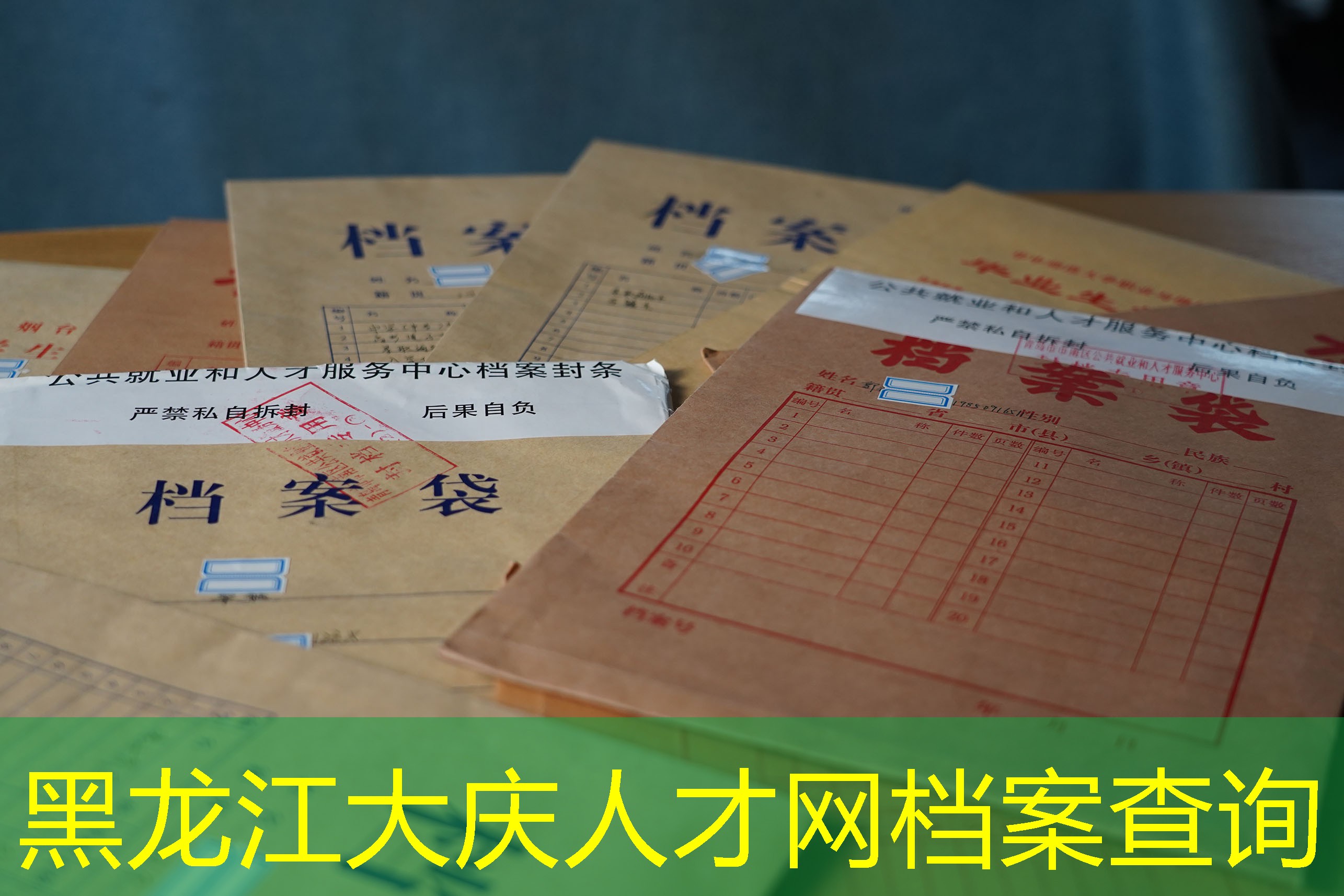 档案查询