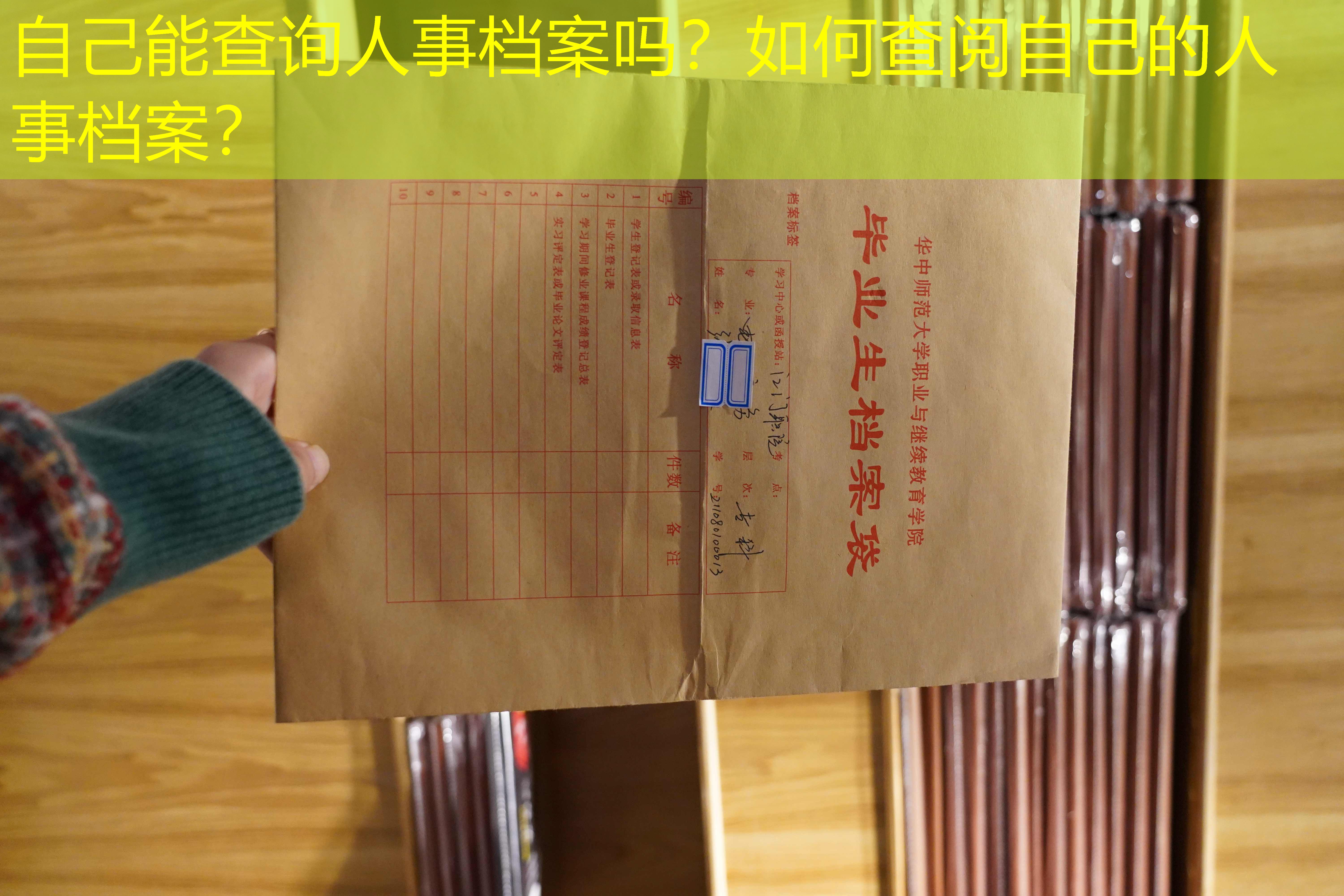 档案查询