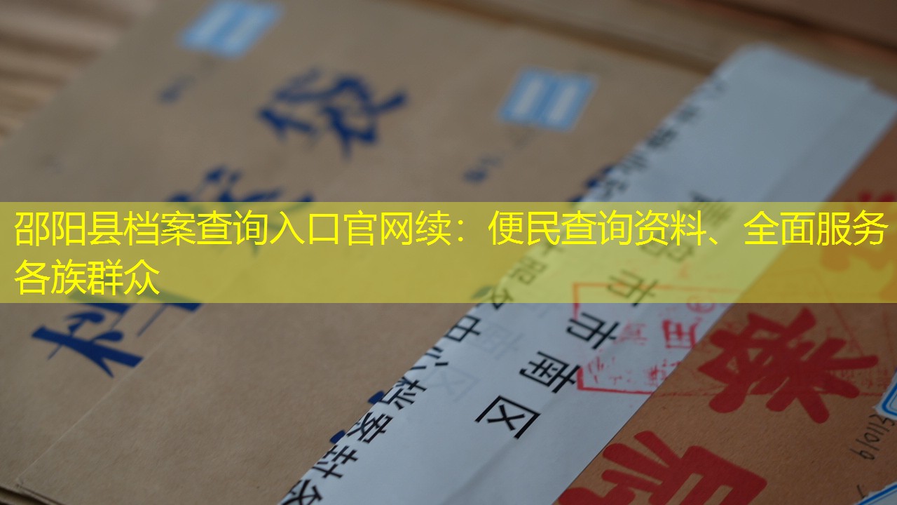 档案查询