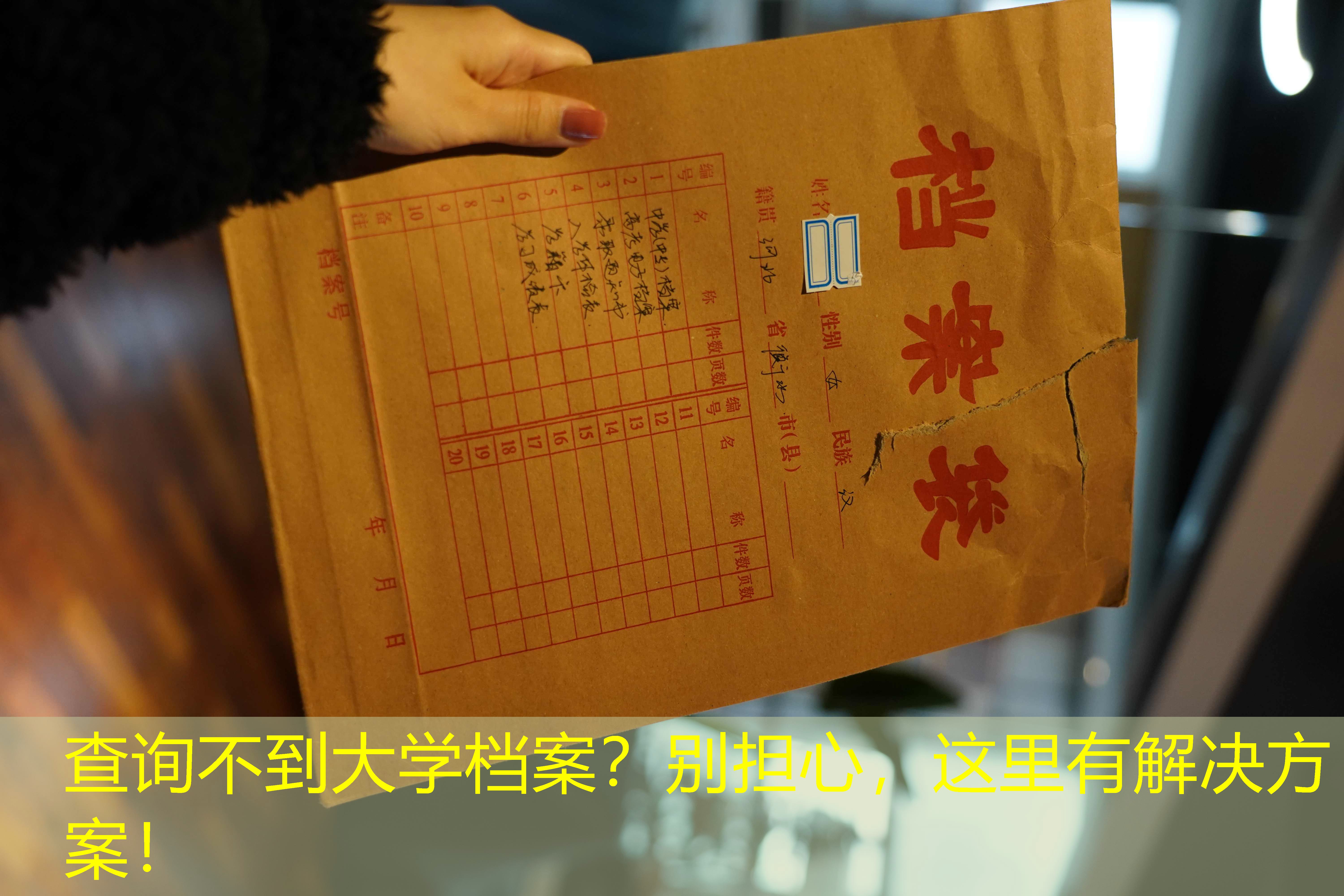 档案查询