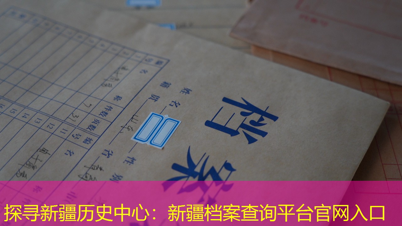 档案查询