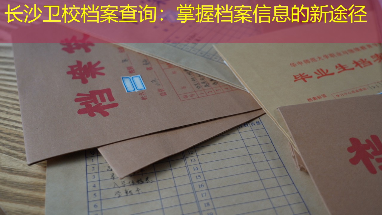档案查询