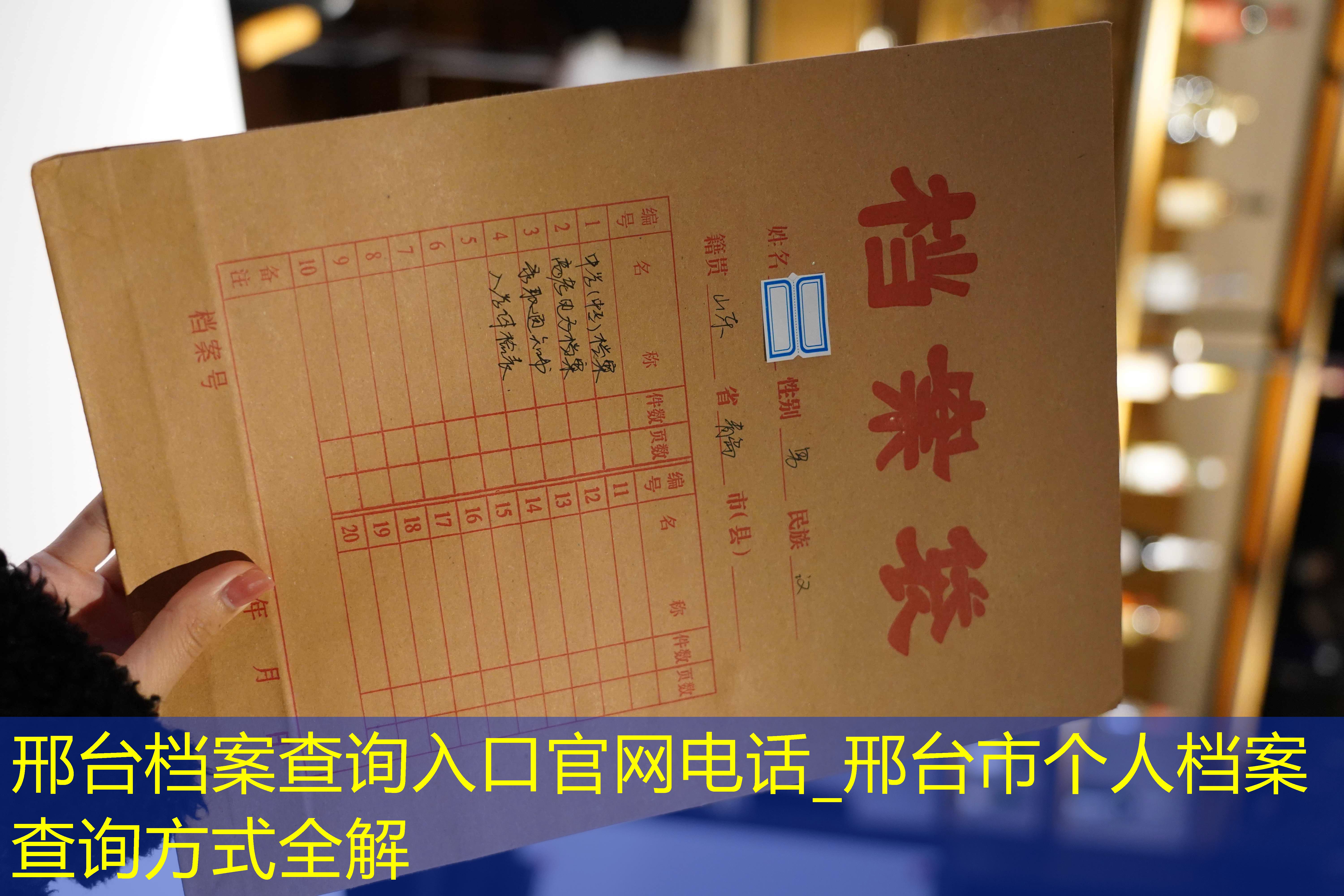 档案查询