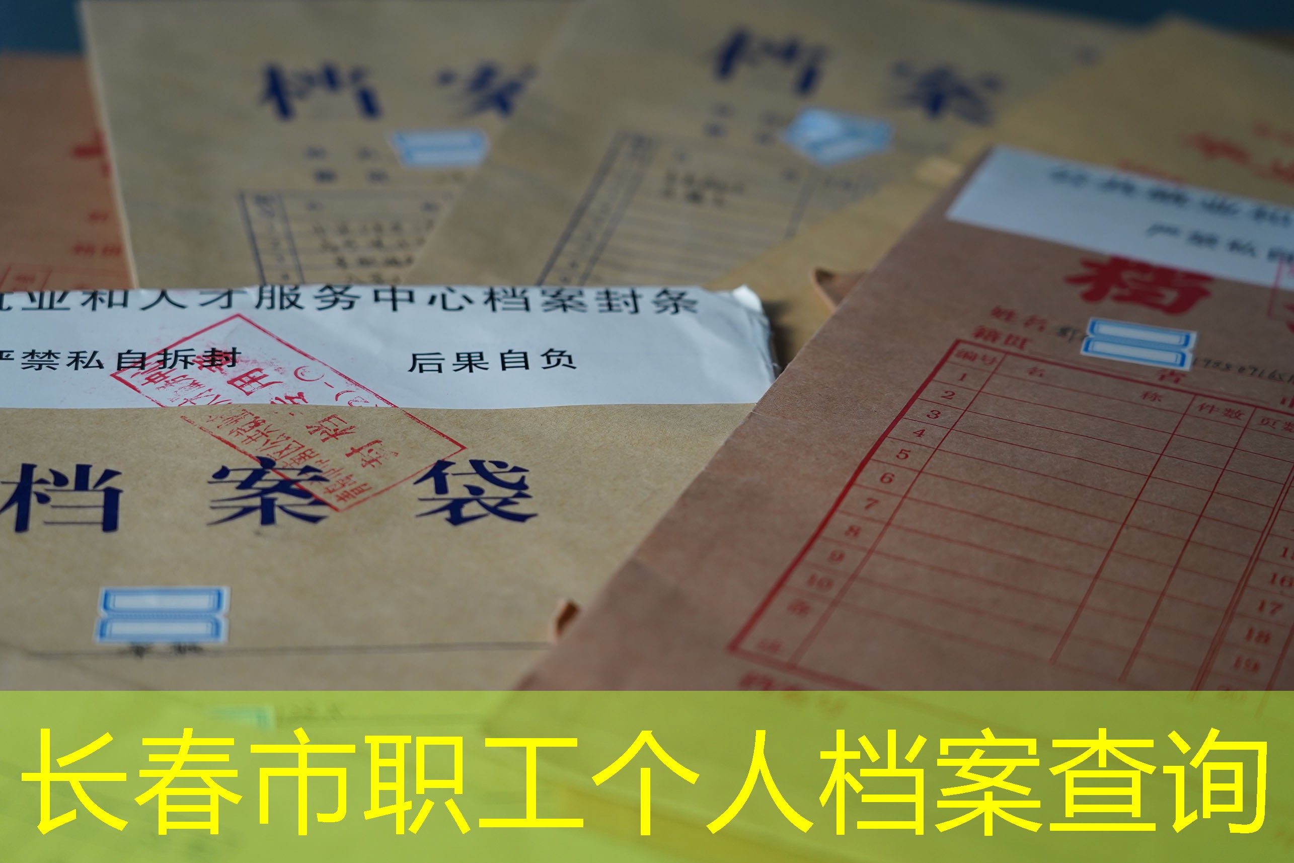 档案查询