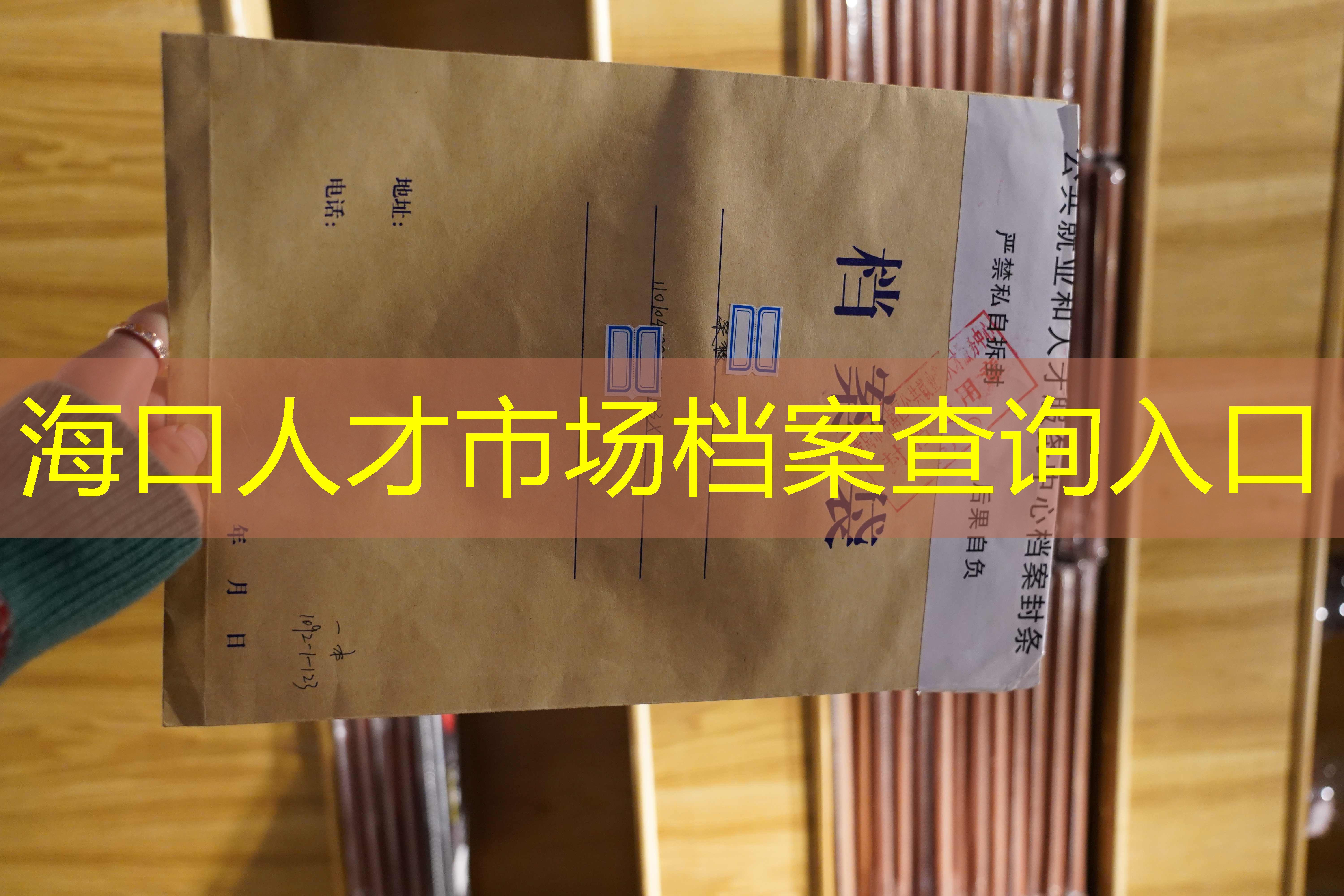 档案查询