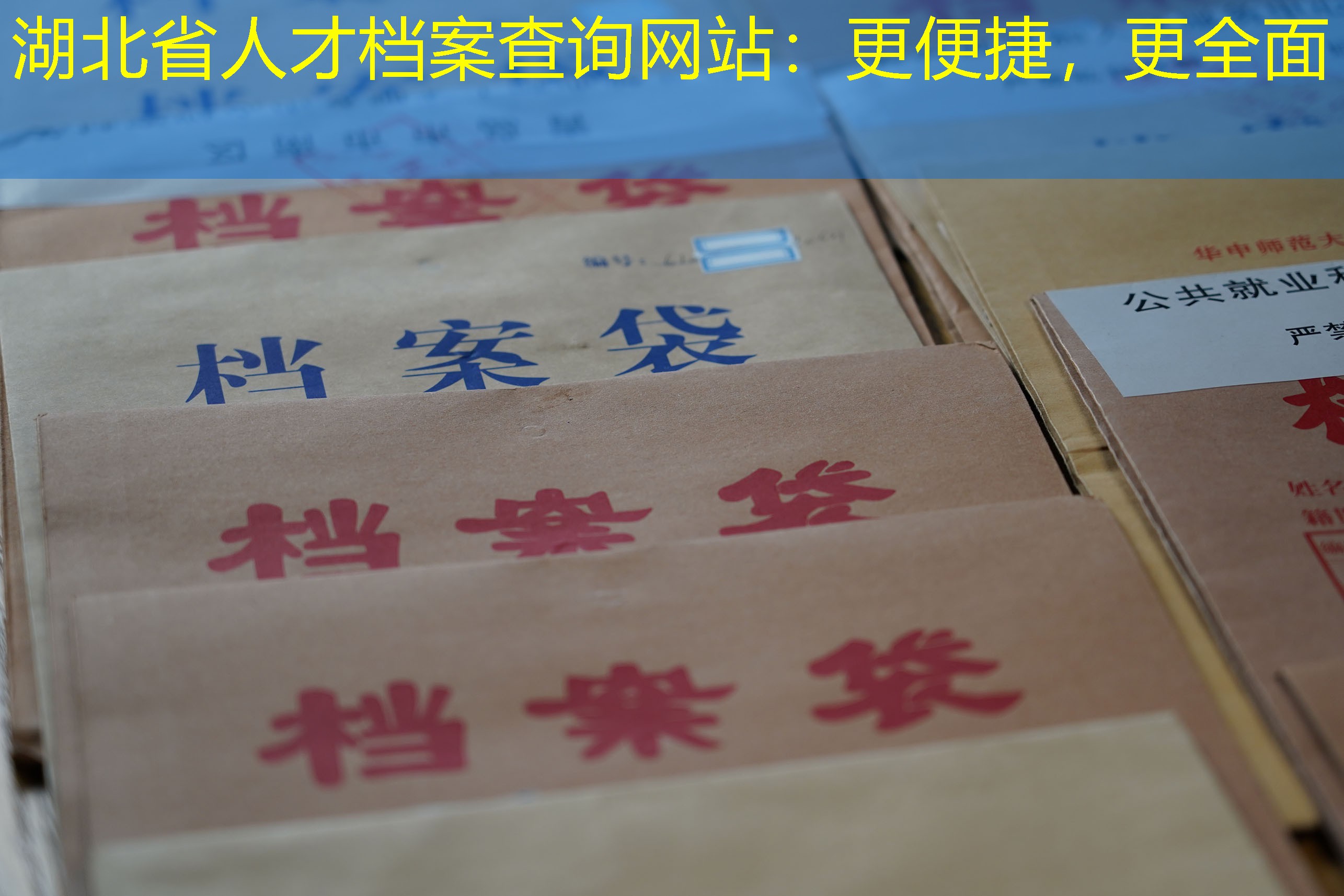 档案查询