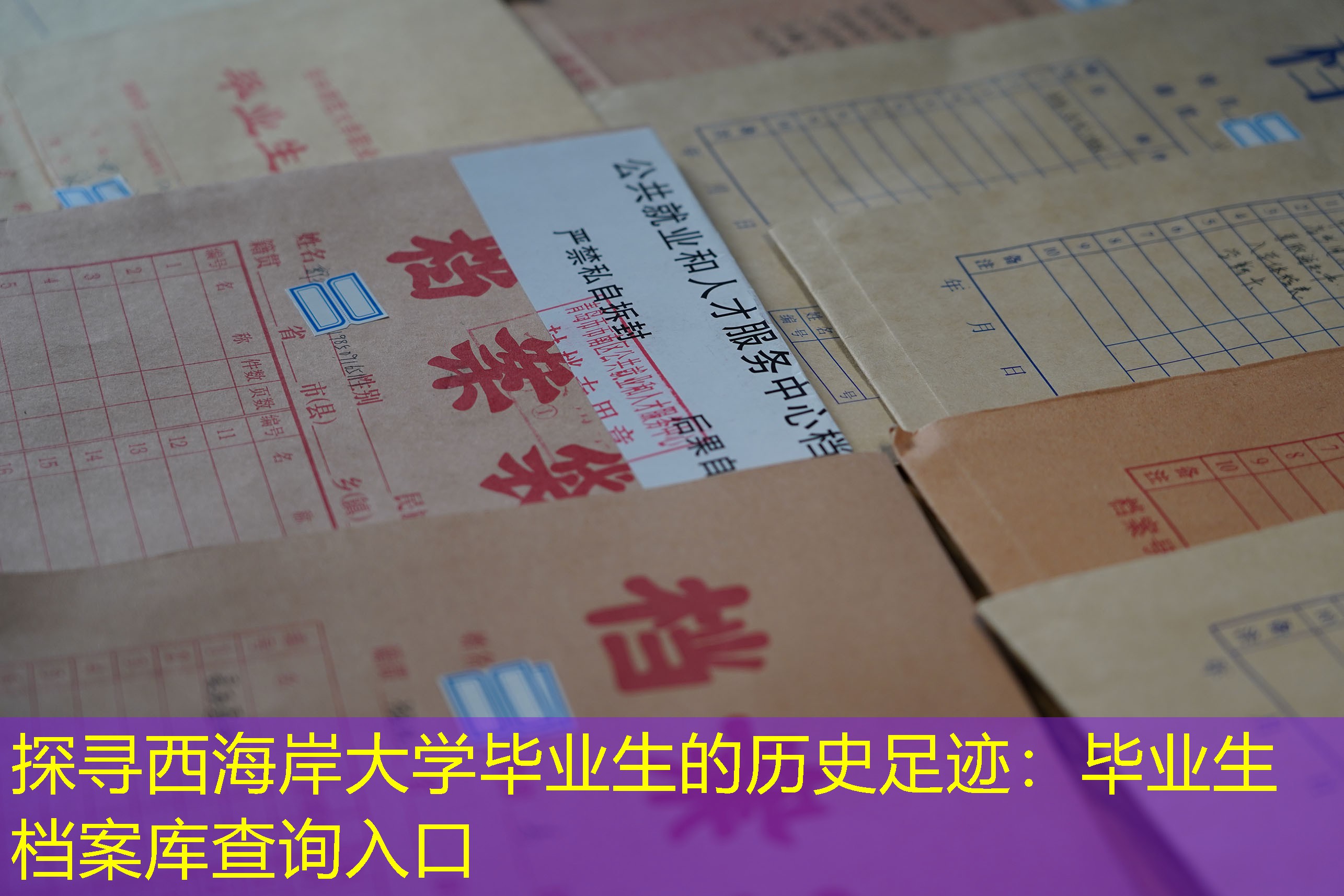 档案查询
