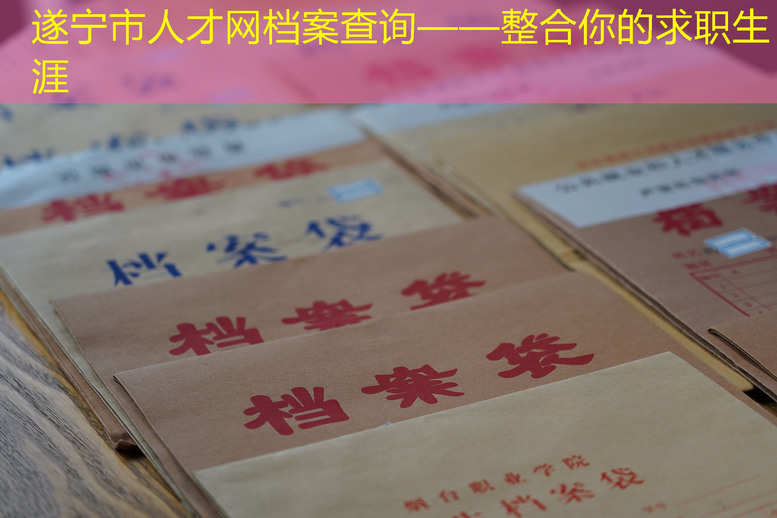 档案查询