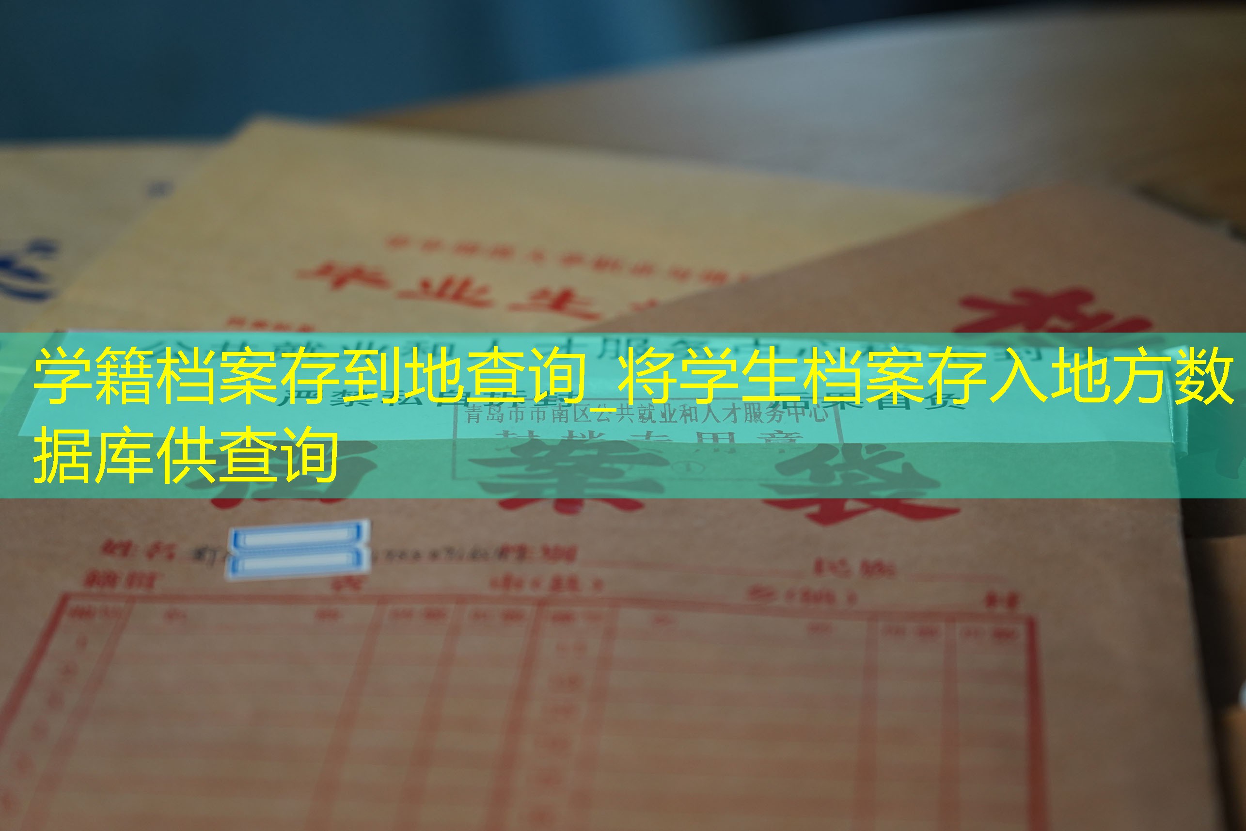 档案查询