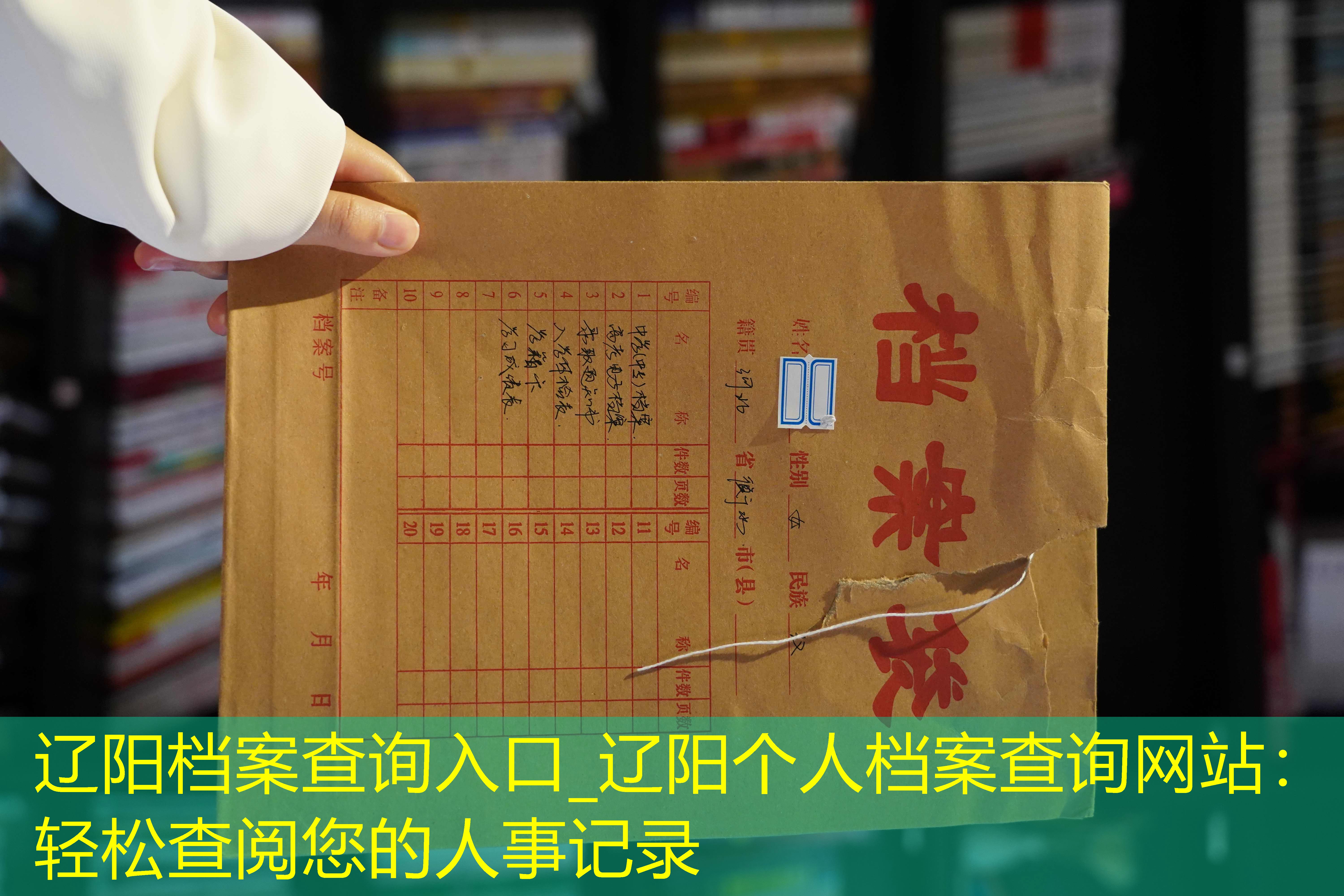 档案查询