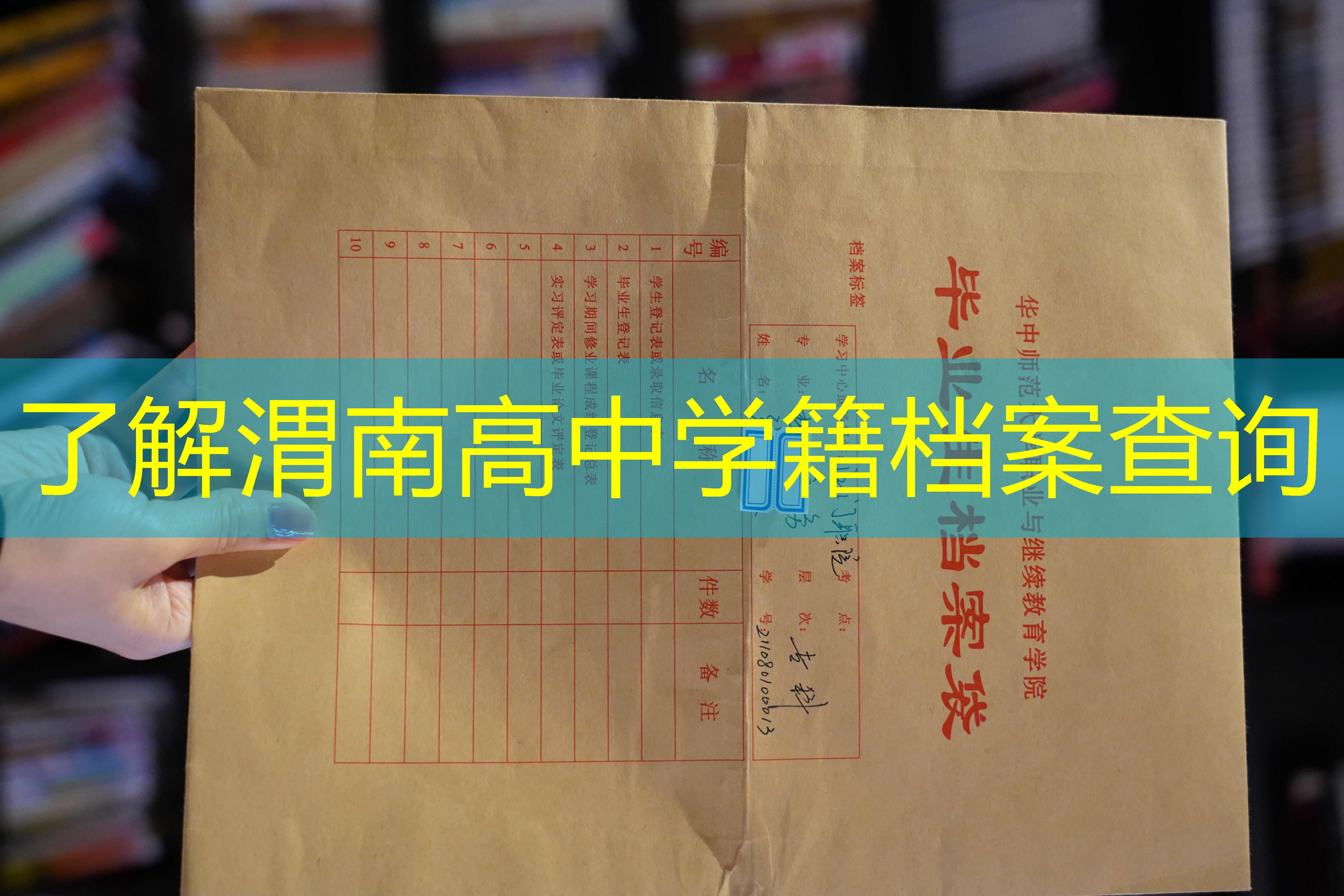 档案查询