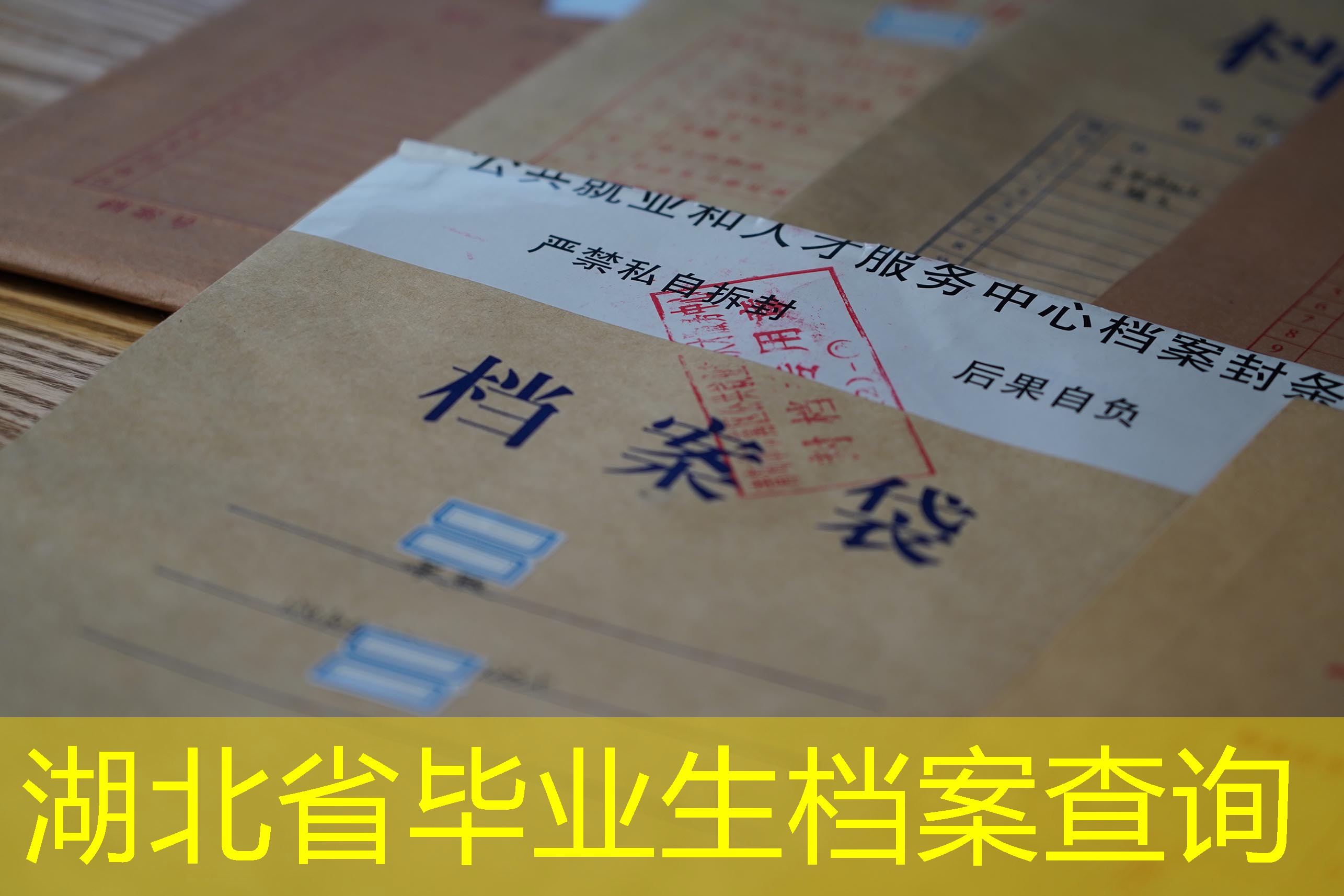 档案查询