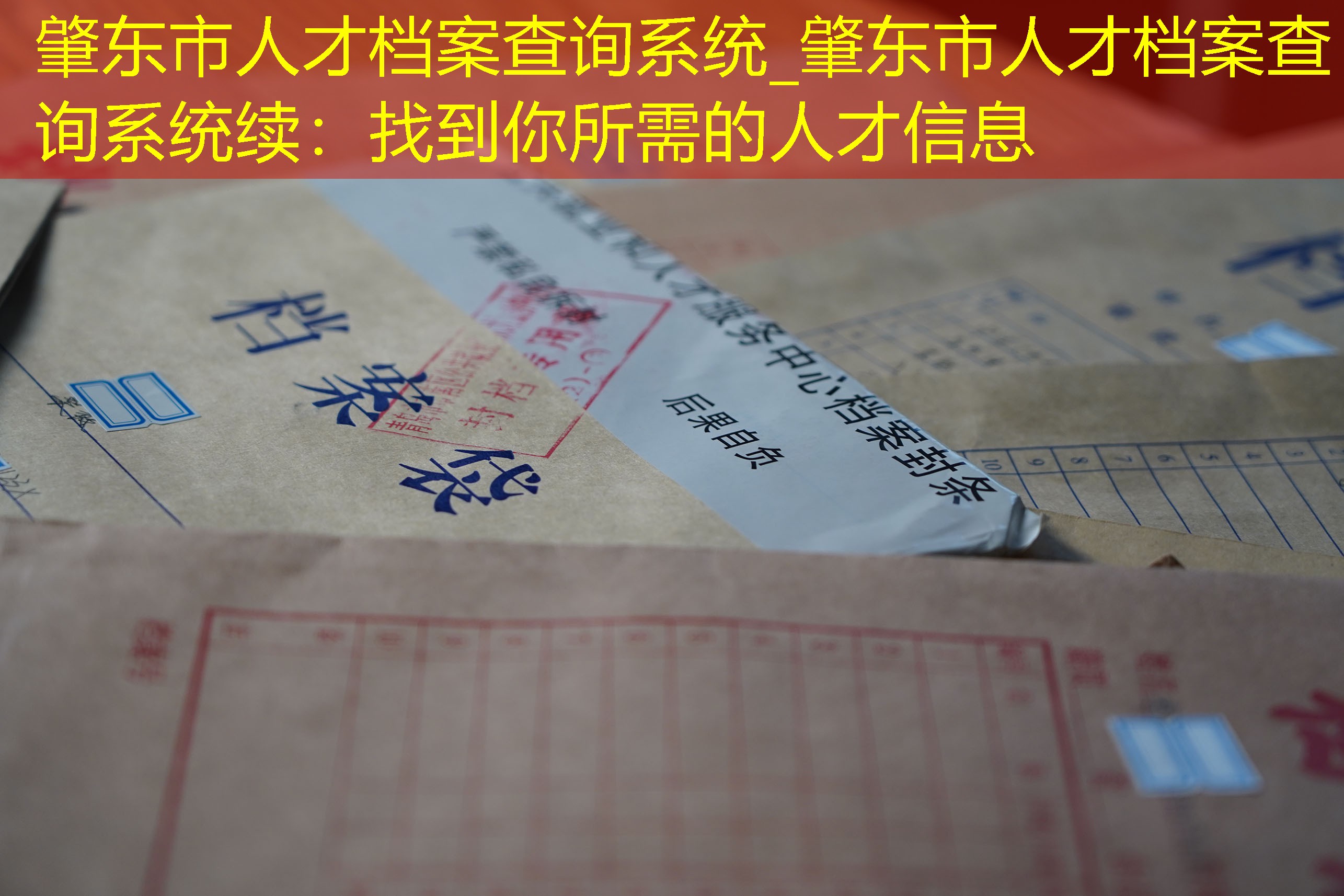 档案查询