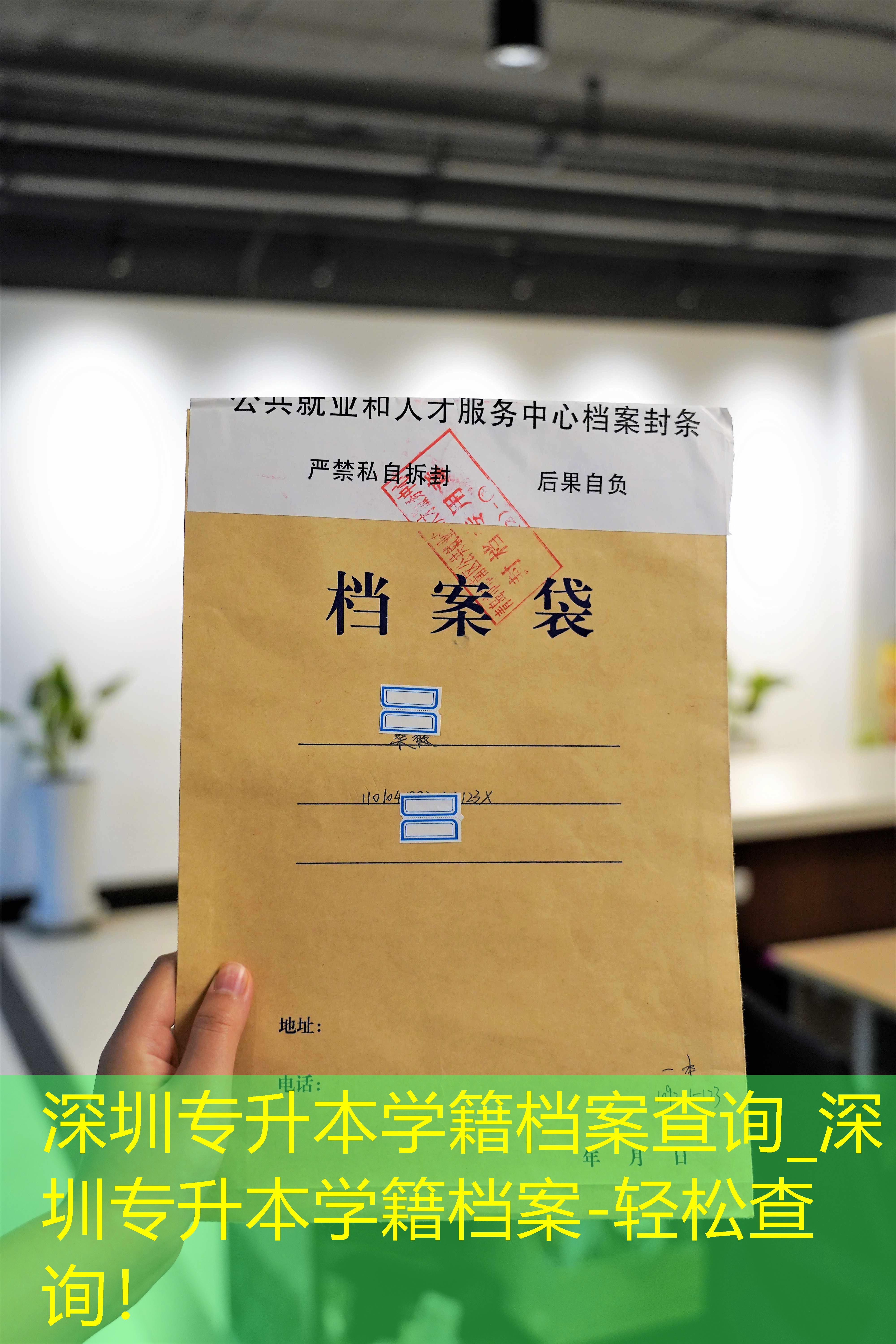 档案查询