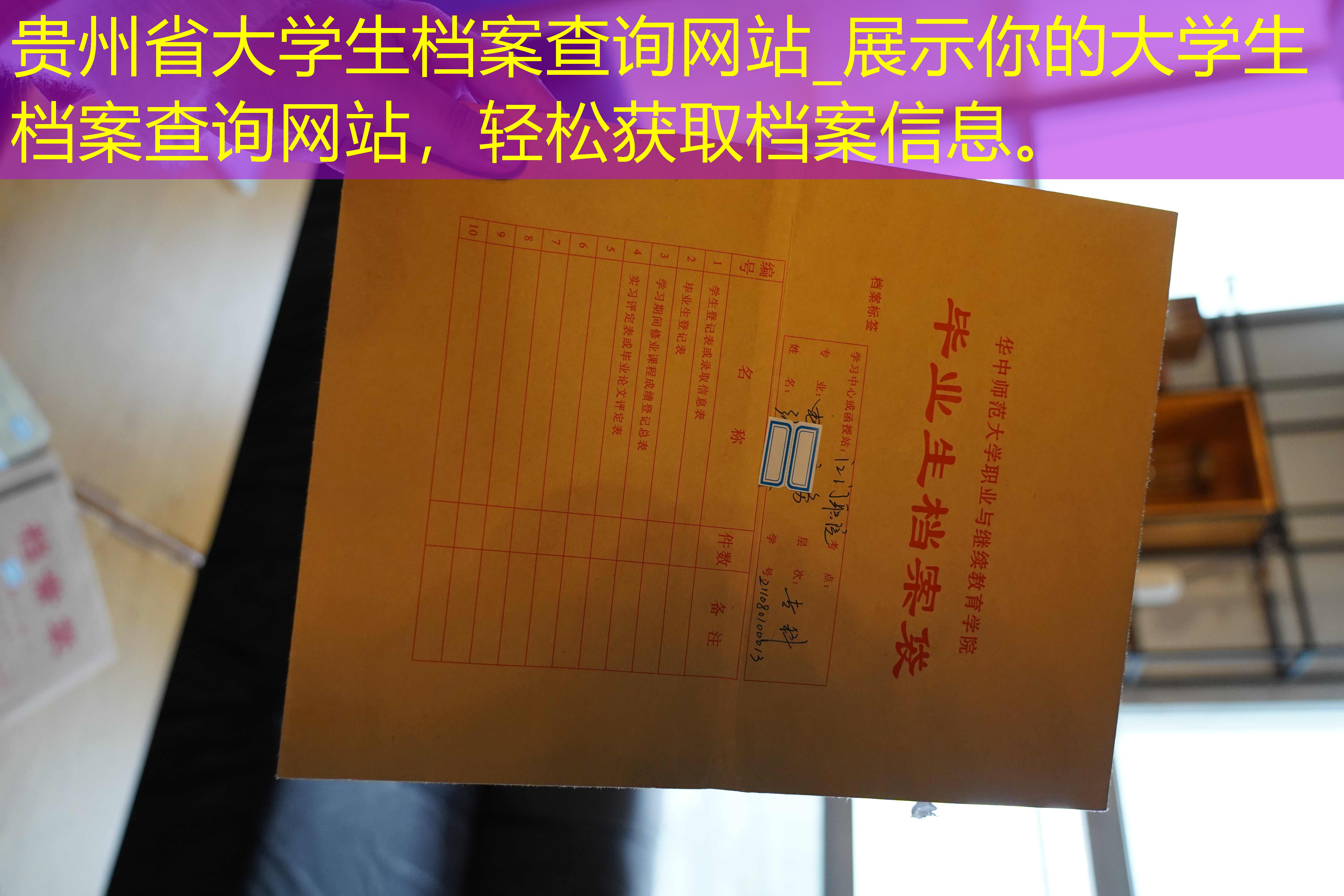 档案查询