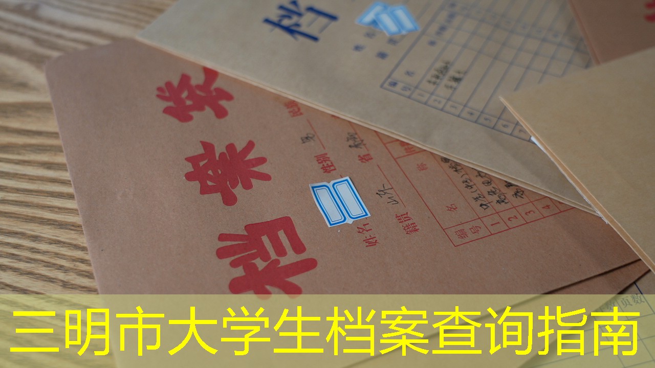档案查询