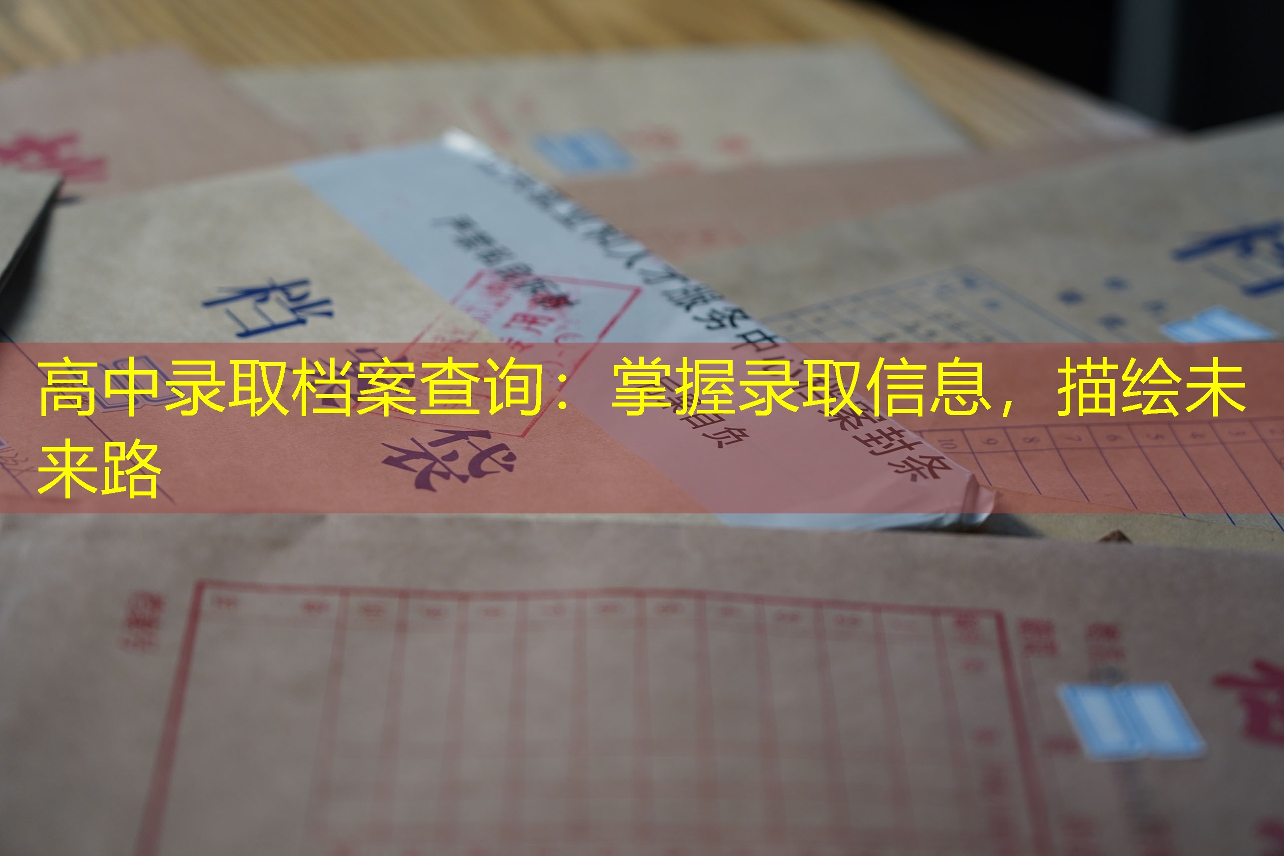 档案查询