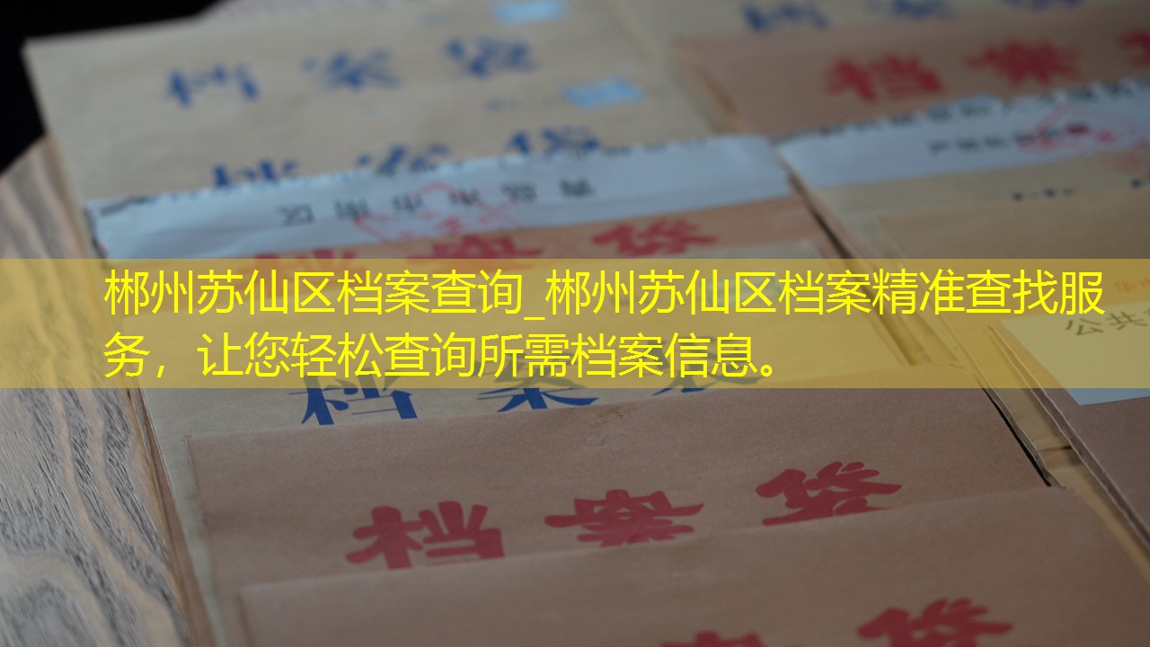 档案查询