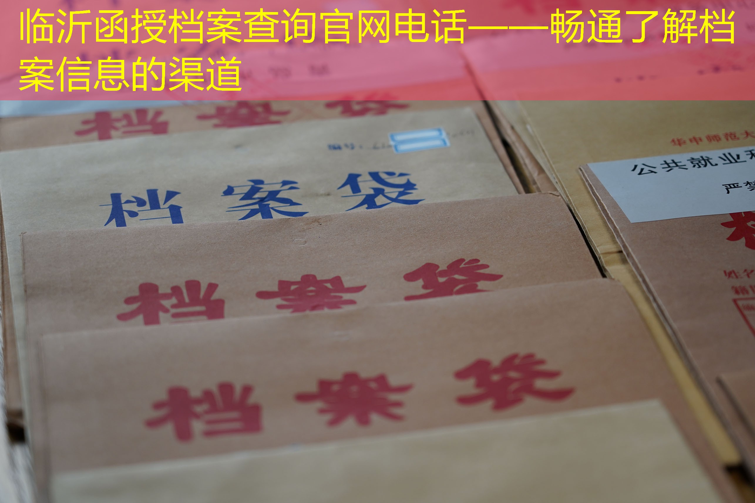 档案查询