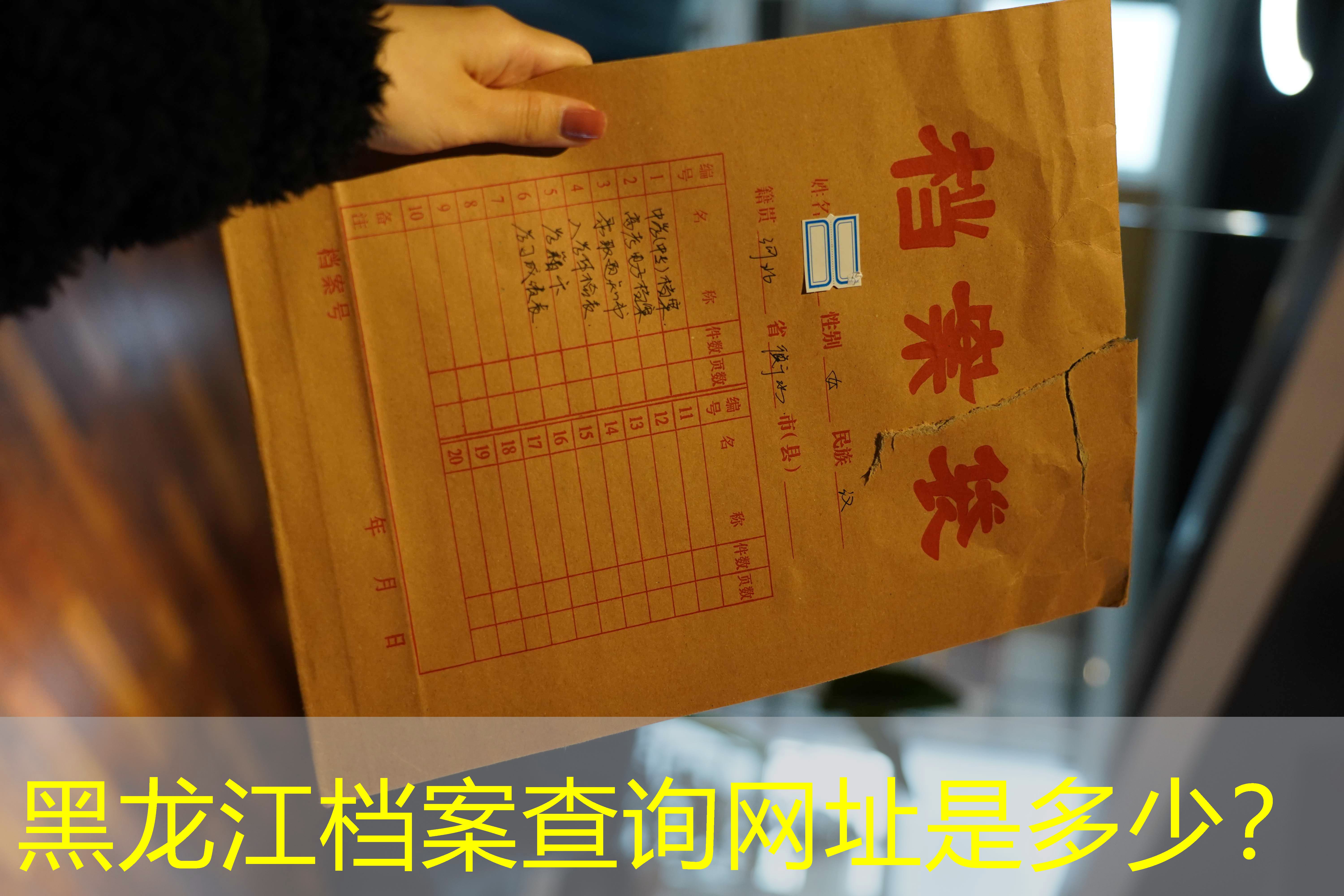 档案查询