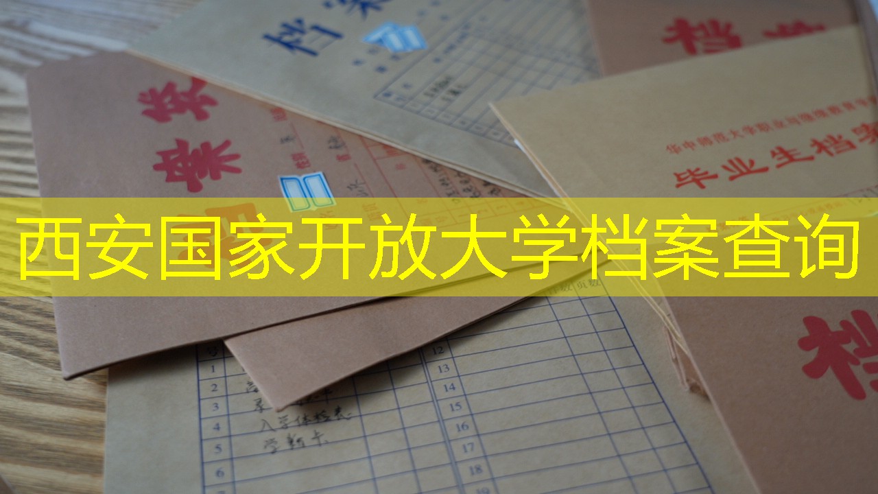 档案查询